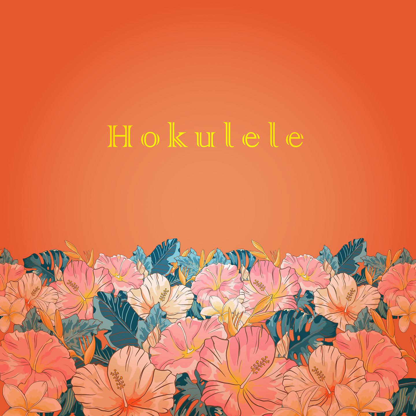 Постер альбома Aloha nui loa