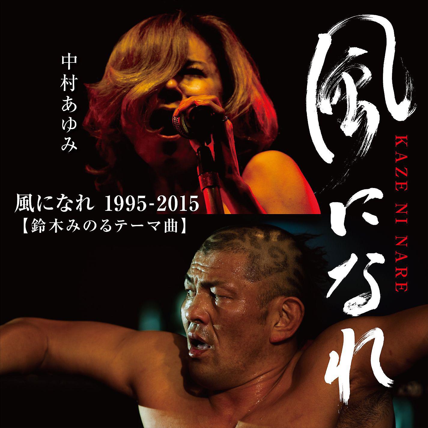 Постер альбома Kaze ni nare 1995-2015