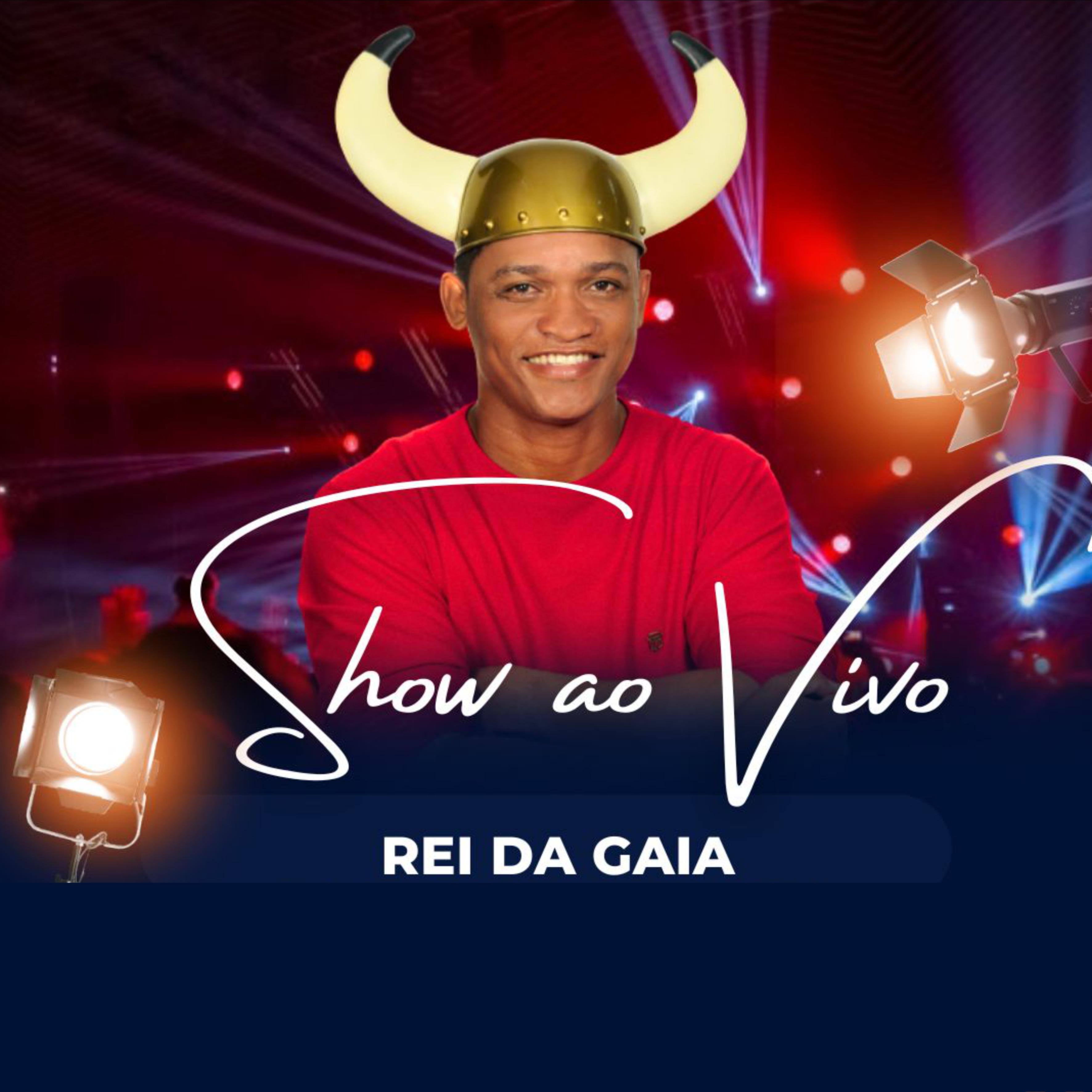 Постер альбома Rei da Gaia Show ao Vivo
