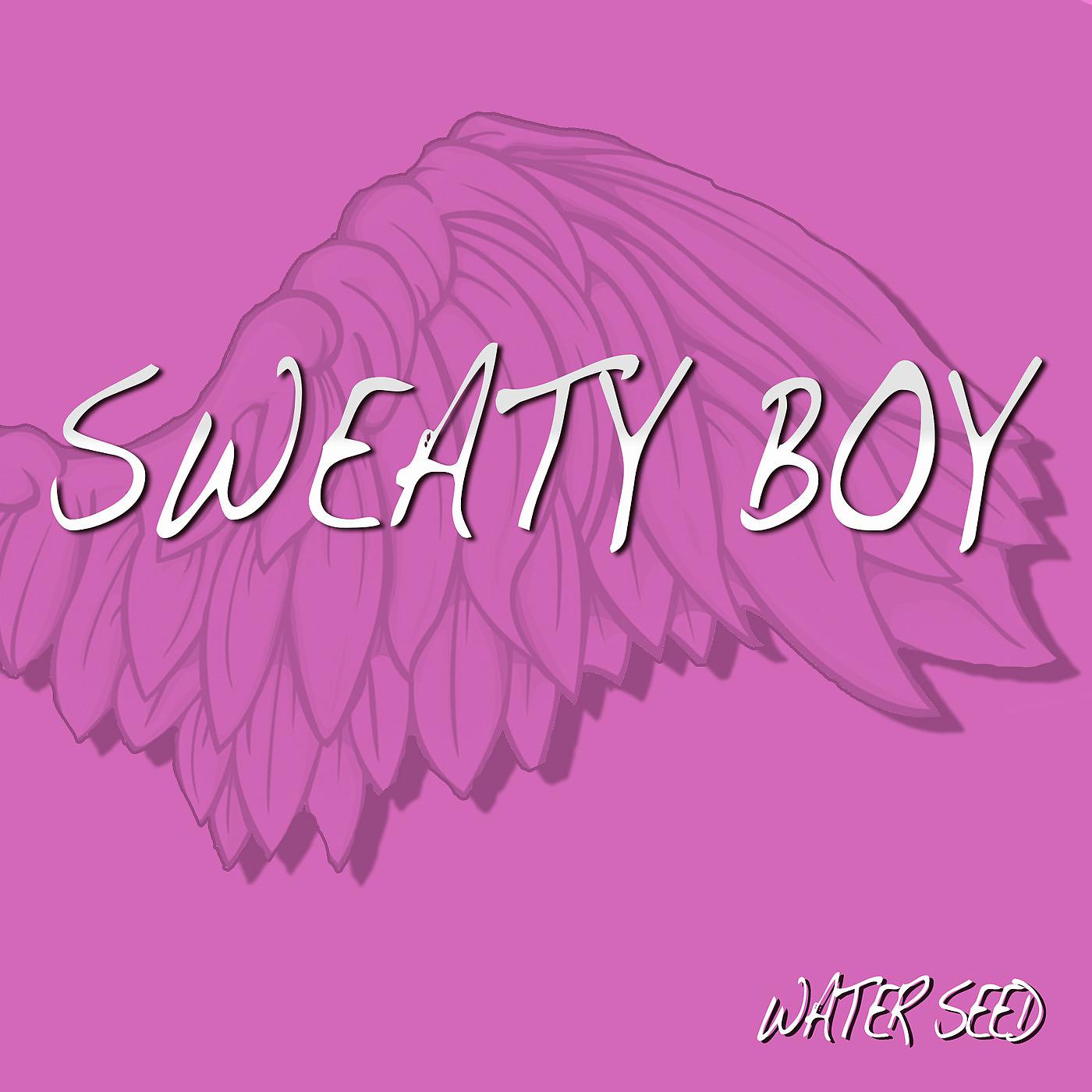 Постер альбома Sweaty Boy