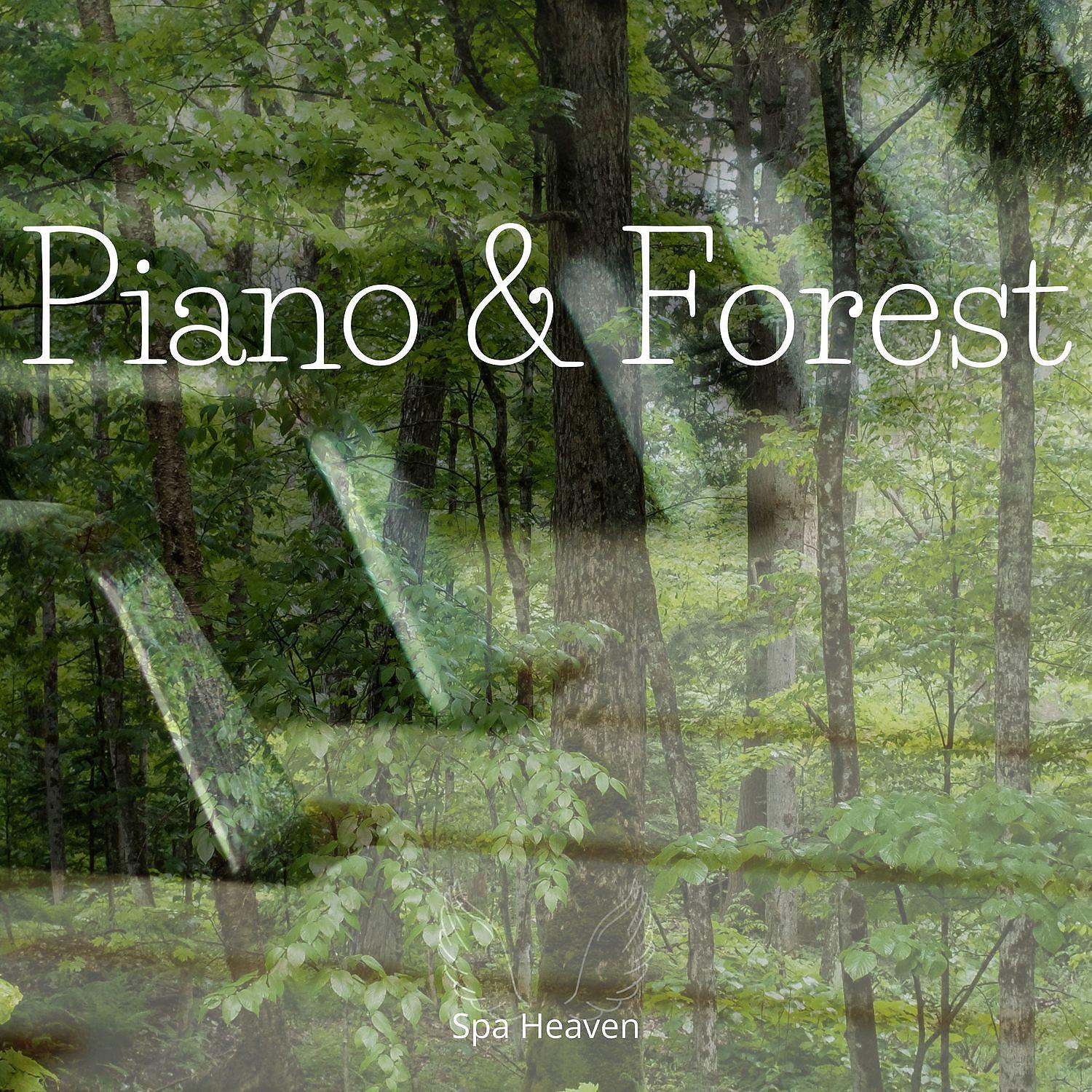 Постер альбома Piano & Forest