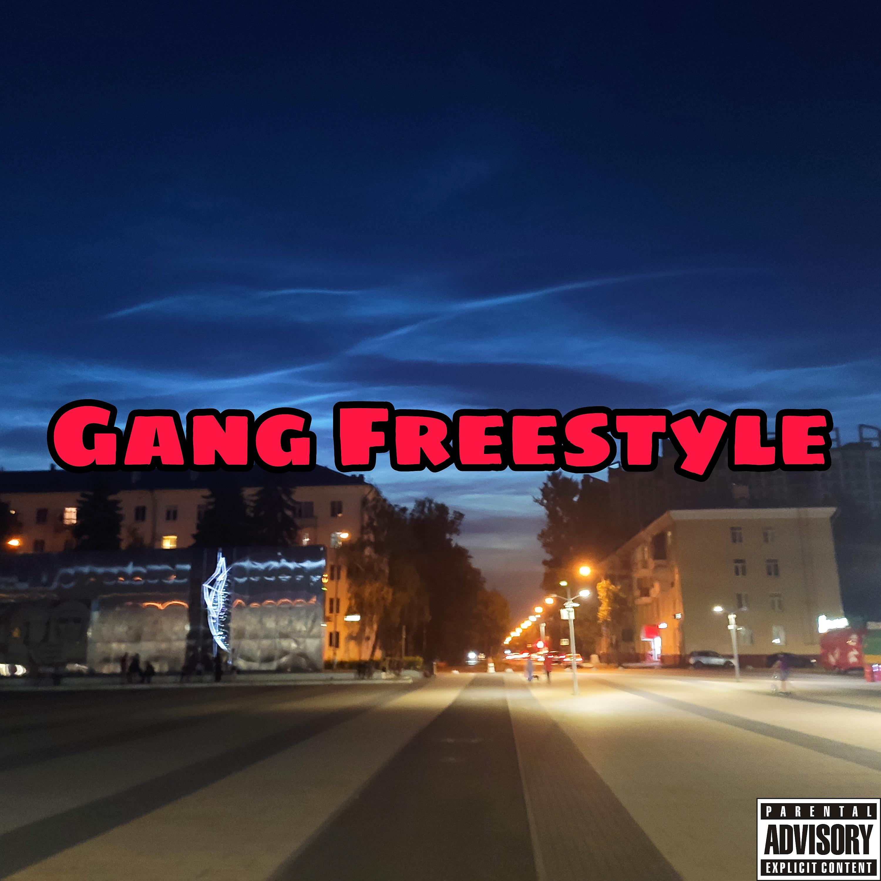 Постер альбома Gang Freestyle