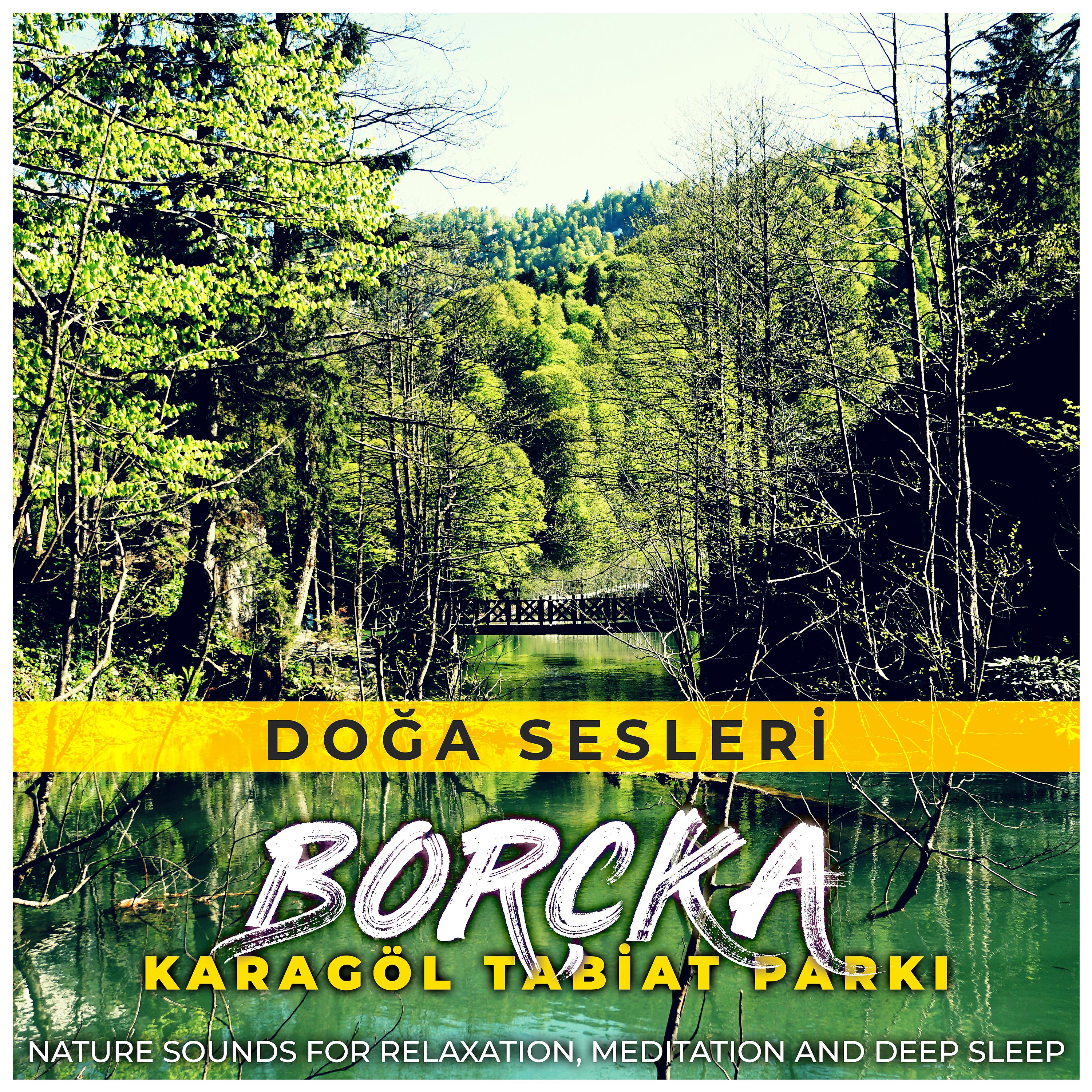 Постер альбома Borçka Karagöl Tabiat Parkı (Nature Sounds for Relaxation, Meditation and Deep Sleep)