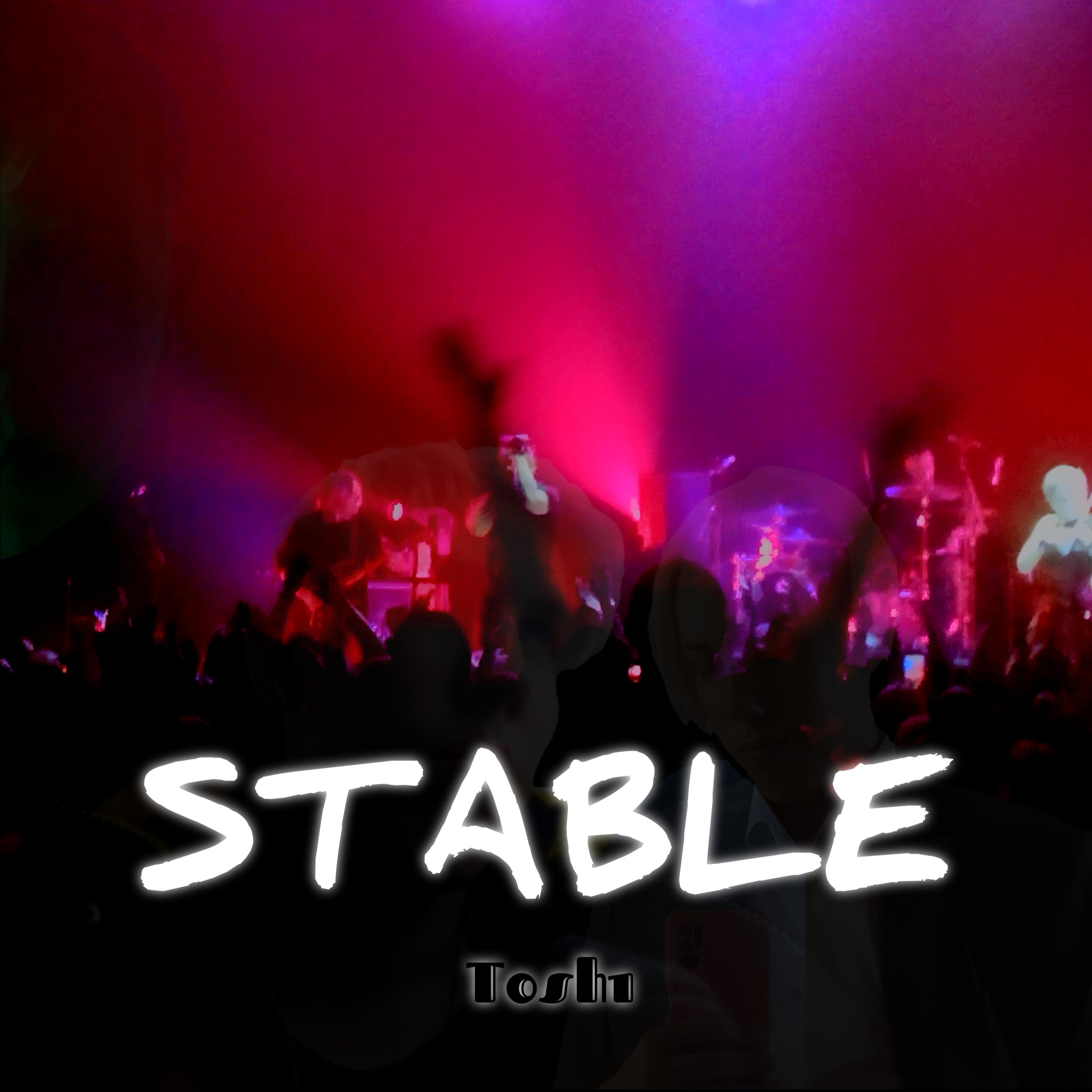 Постер альбома Stable