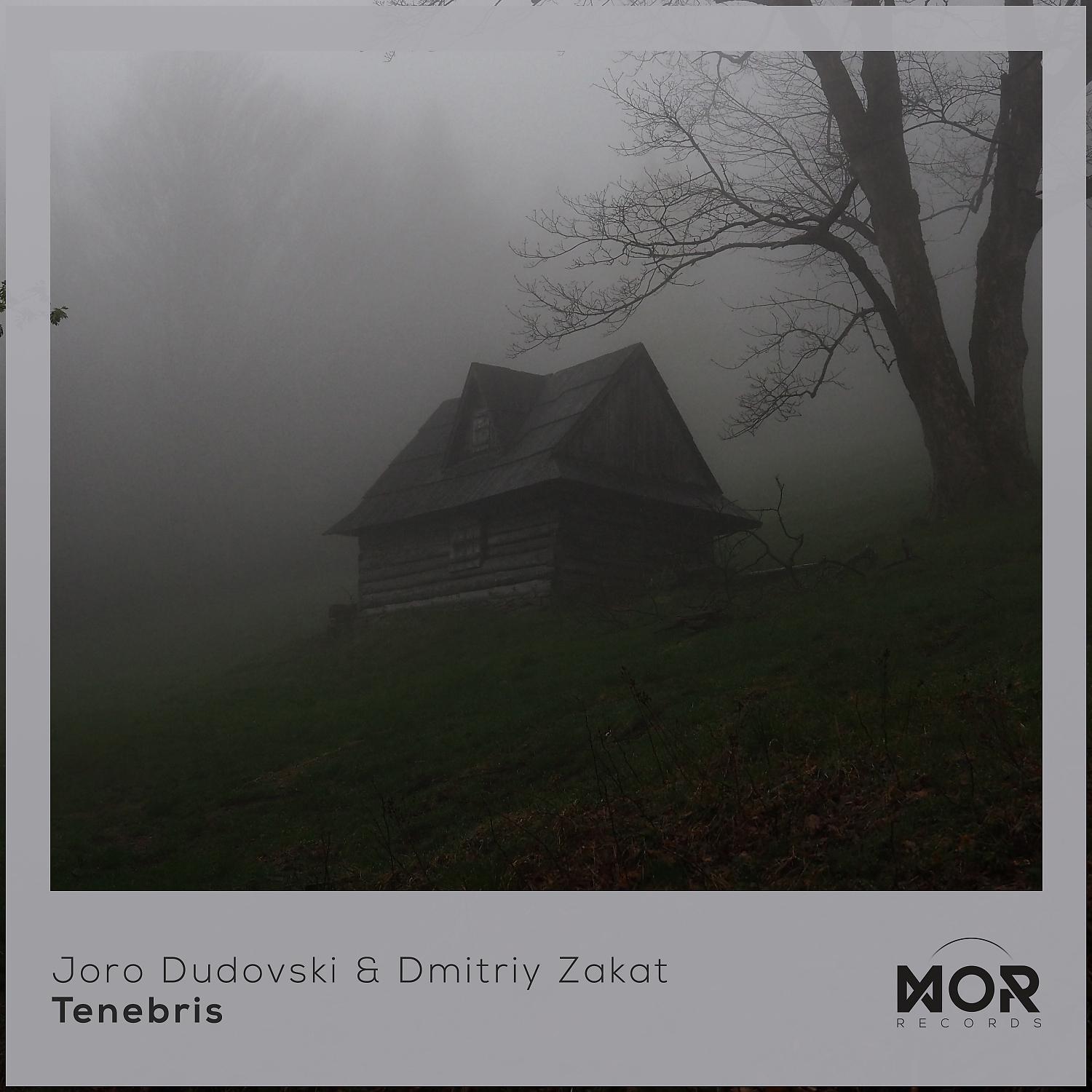 Постер альбома Tenebris