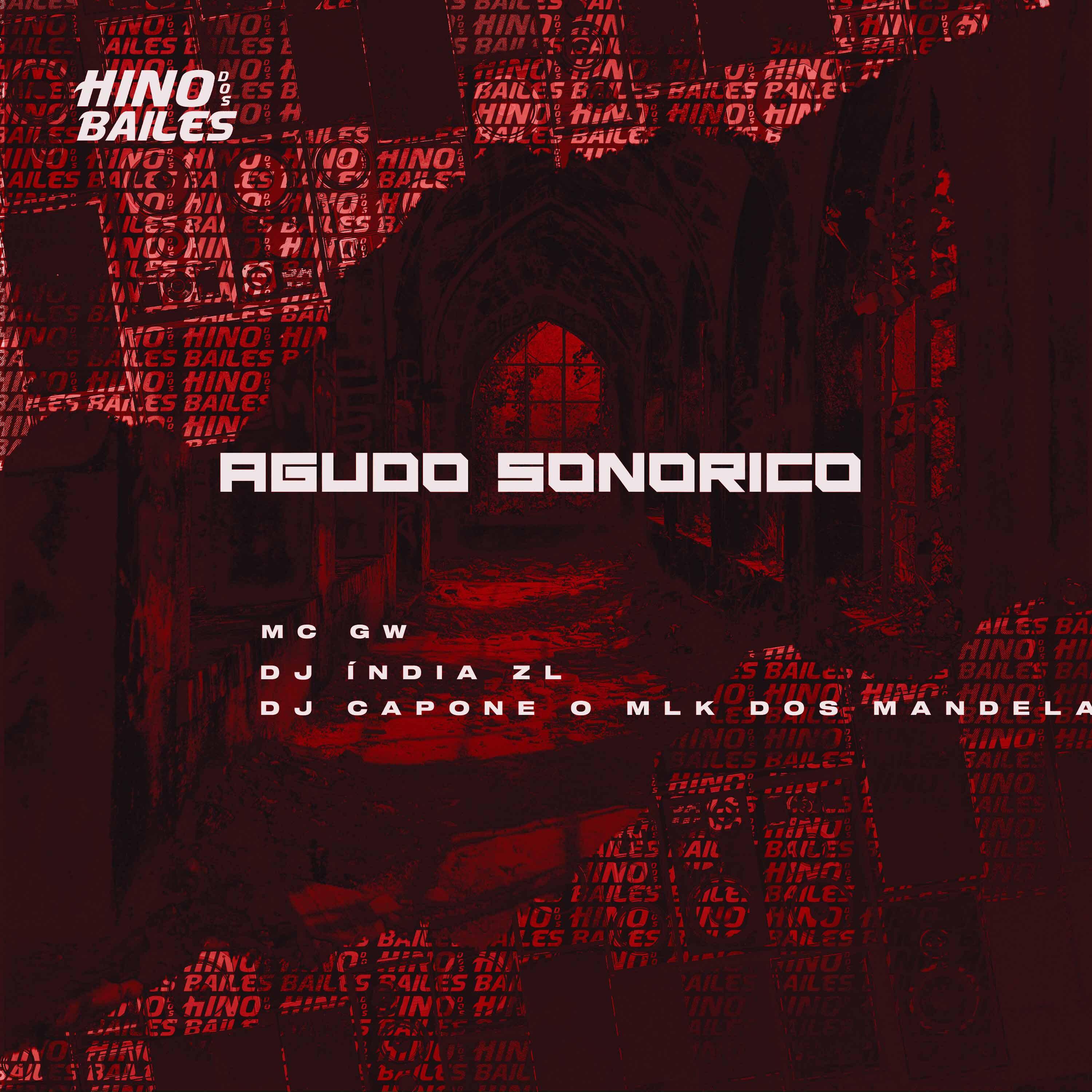 Постер альбома Agudo Sonorico