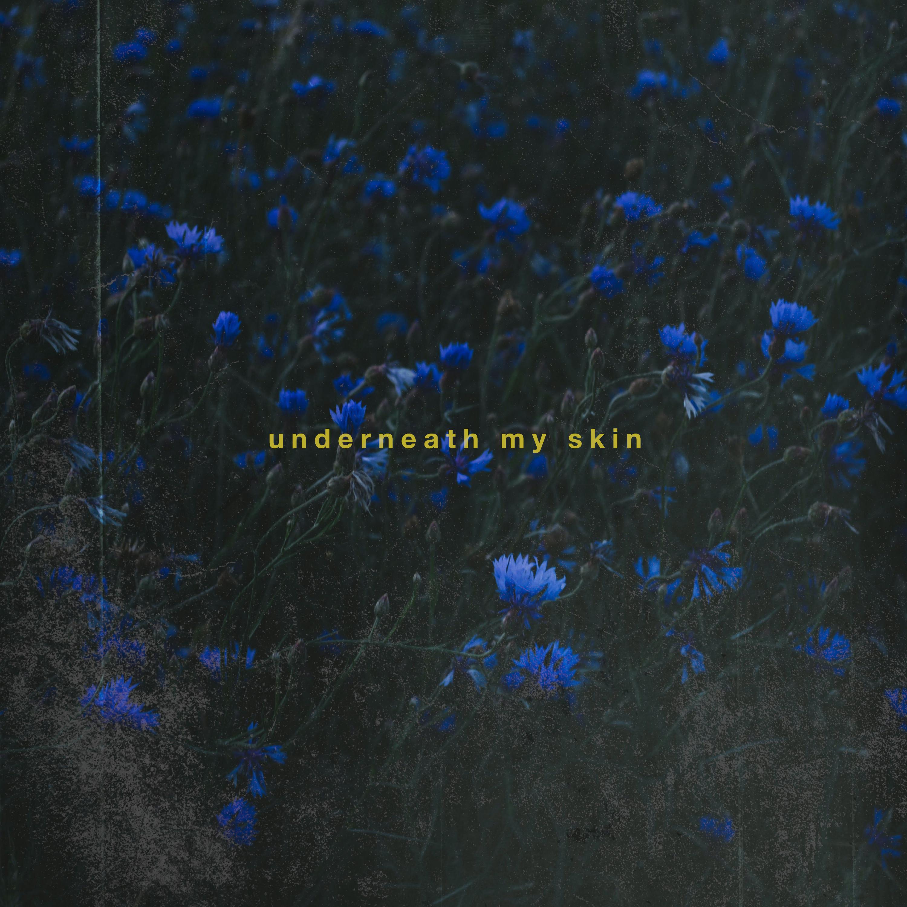 Постер альбома Underneath My Skin
