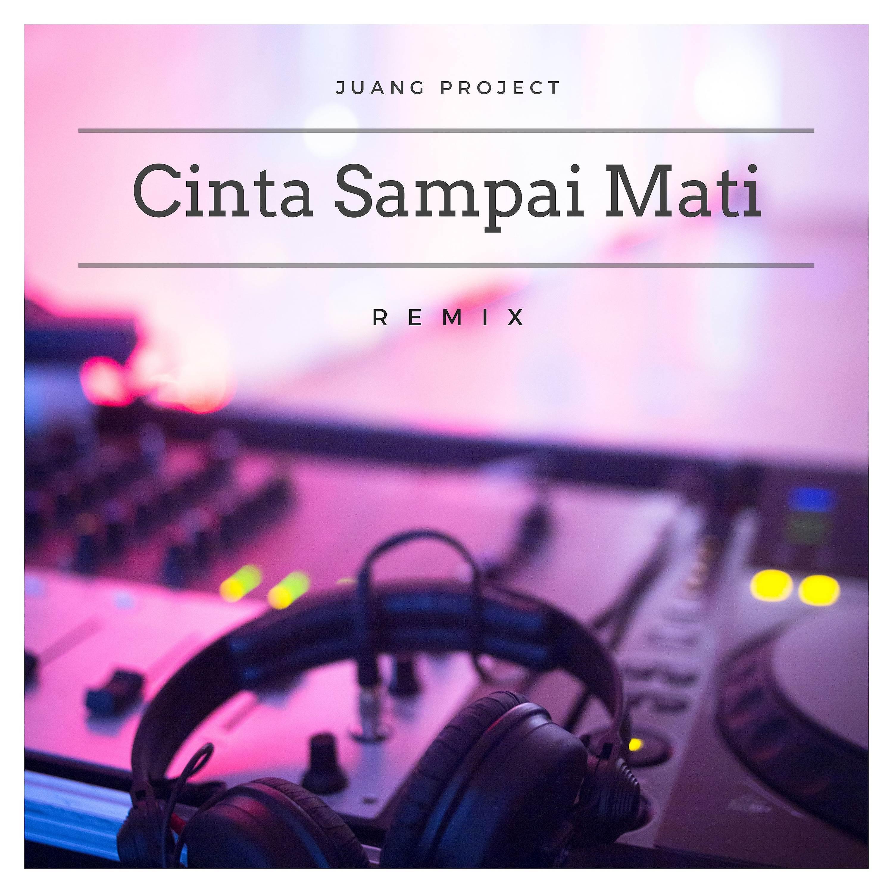 Постер альбома Cinta Sampai Mati (feat. Raffa Affar)