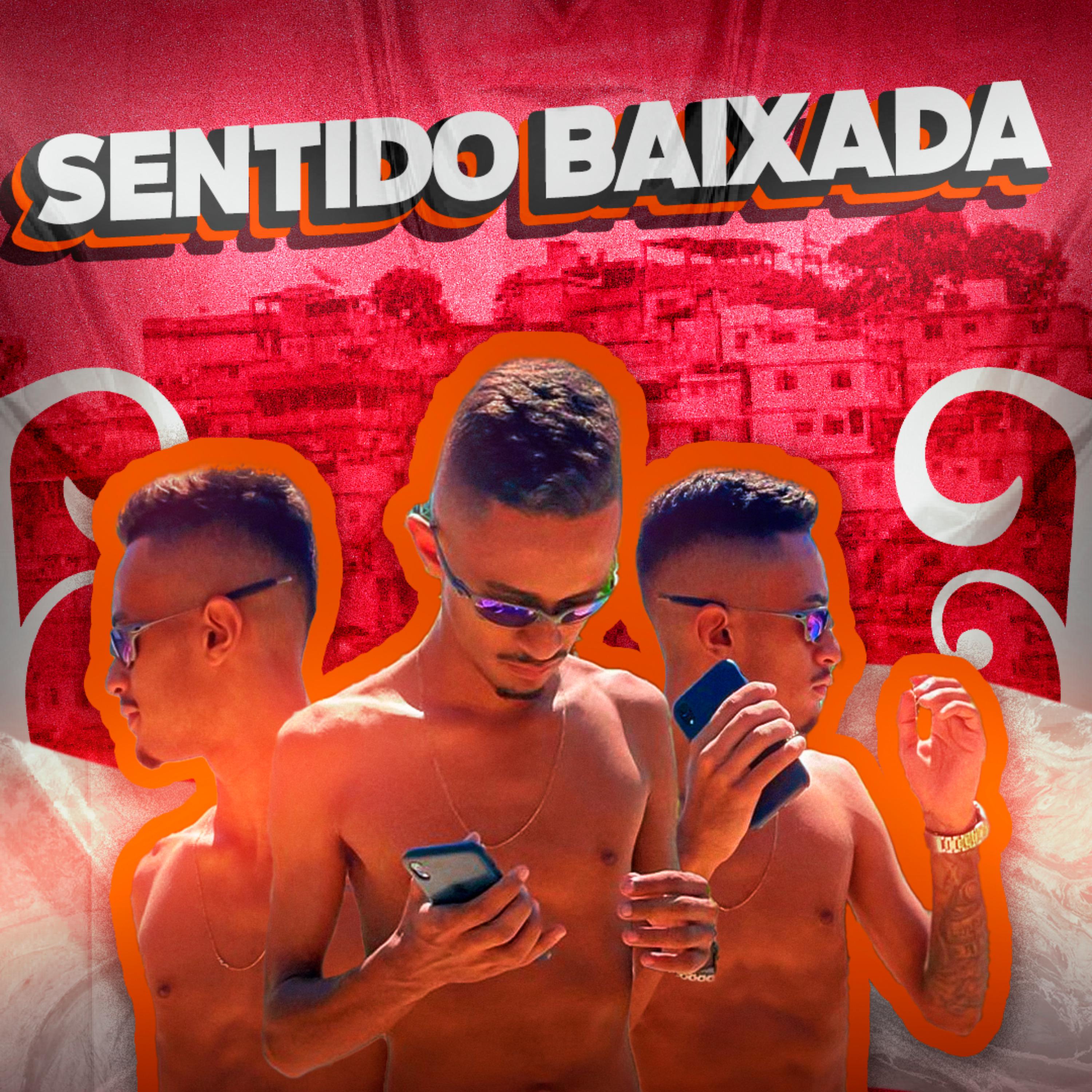 Постер альбома Sentido Baixada