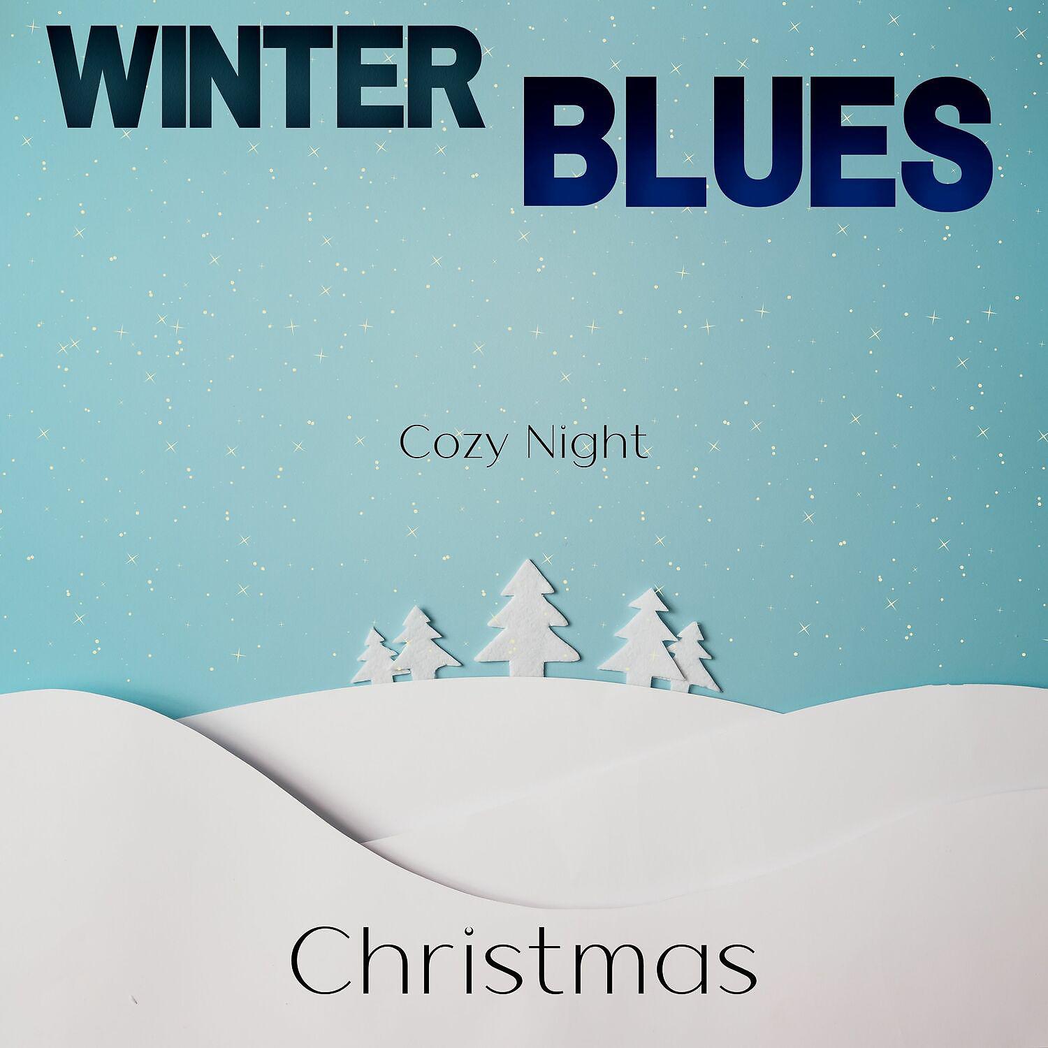 Постер альбома Cozy Night Christmas with Smooth Blues