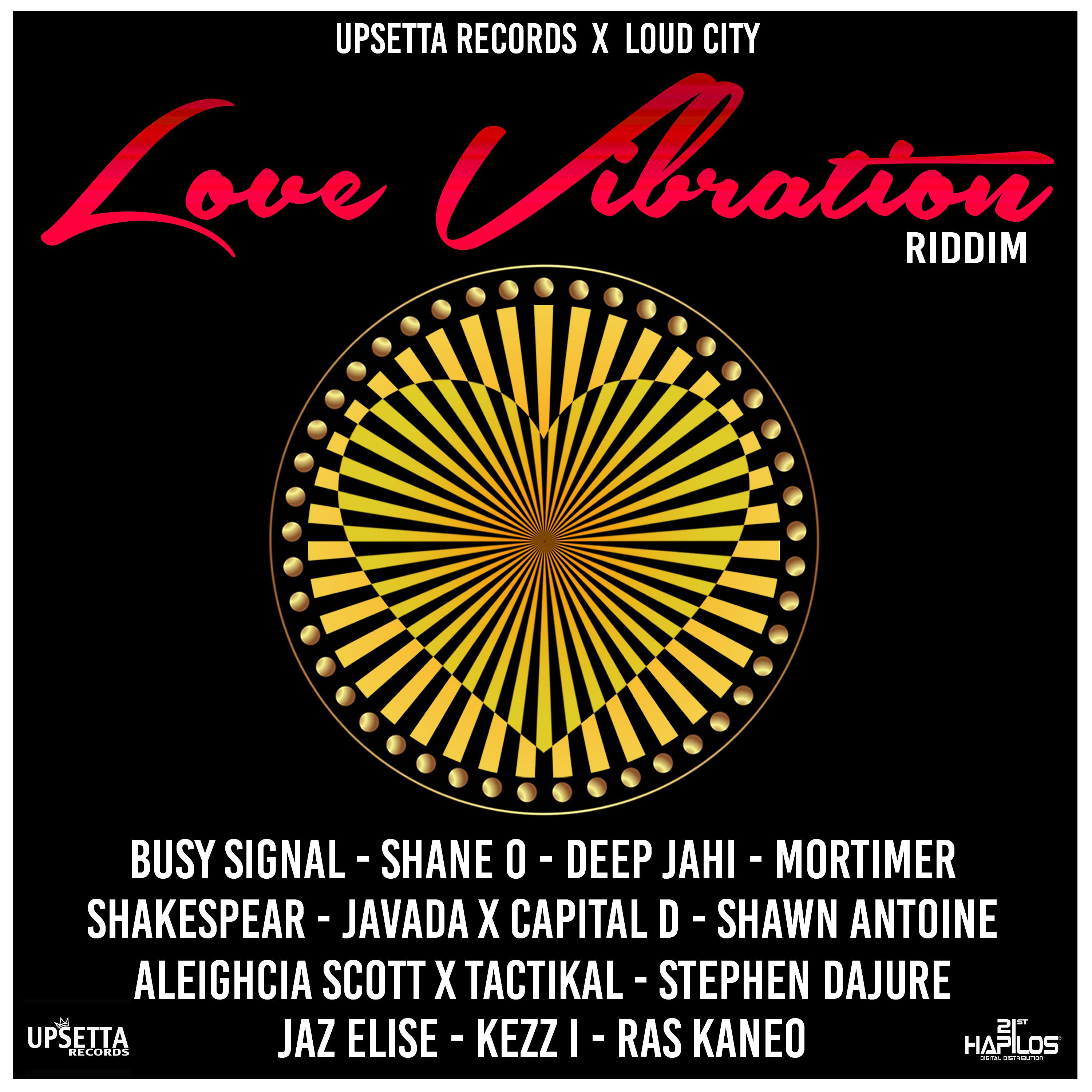 Постер альбома Love Vibration Riddim