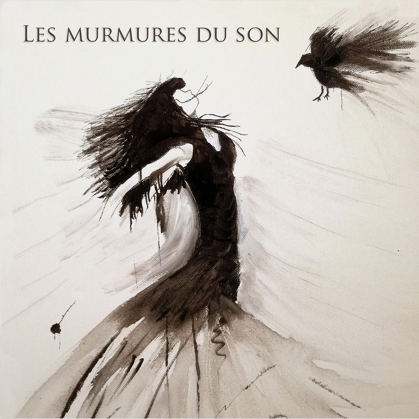 Постер альбома Les murmures du son
