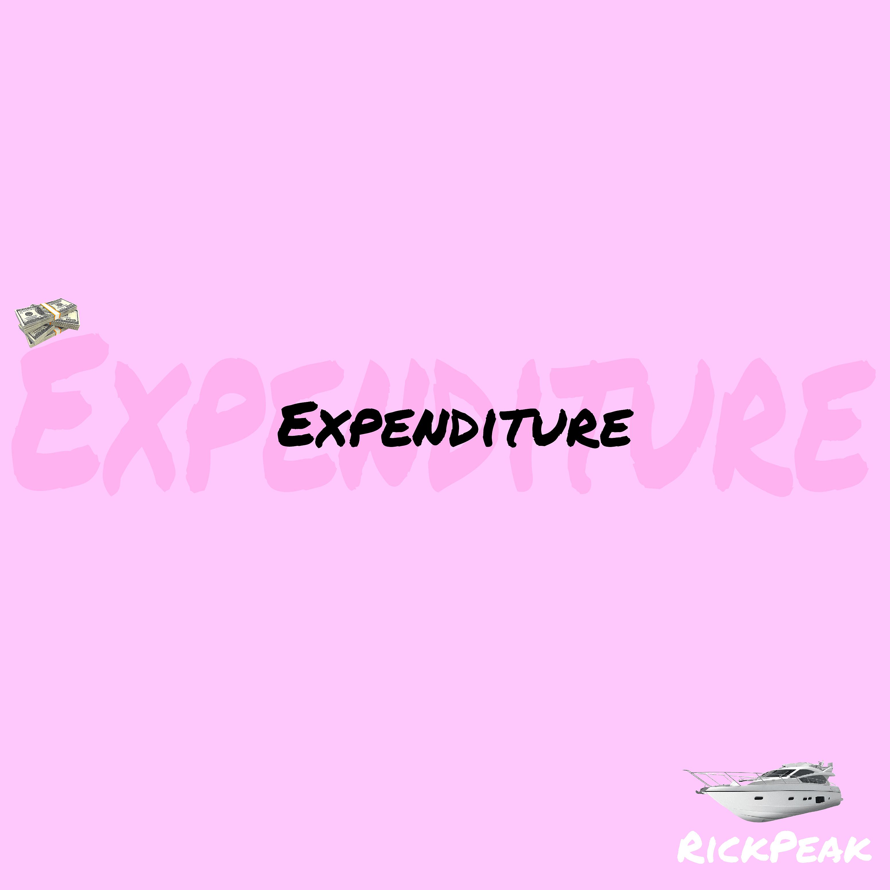 Постер альбома Expenditure