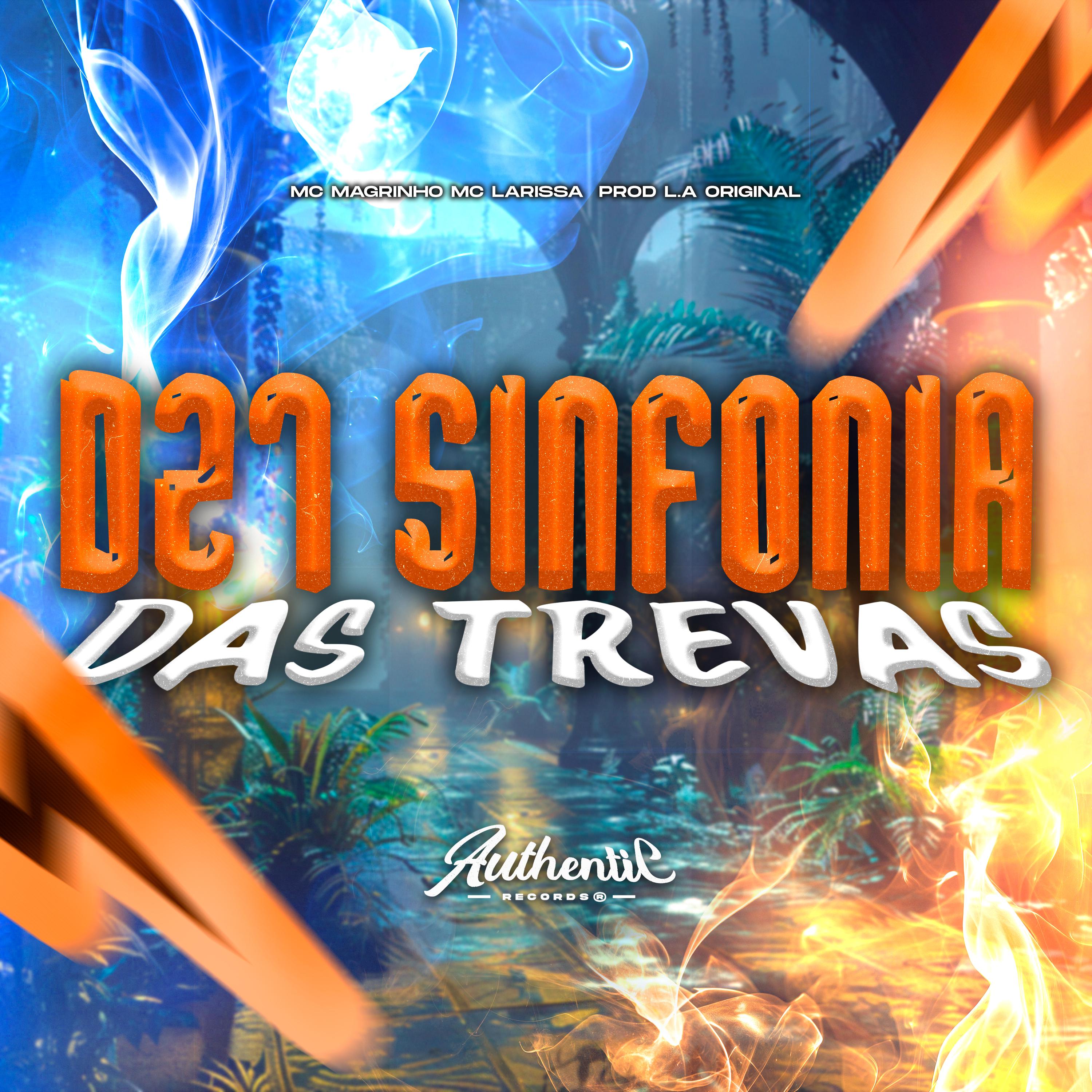 Постер альбома Dz7 Sinfonia das Trevas