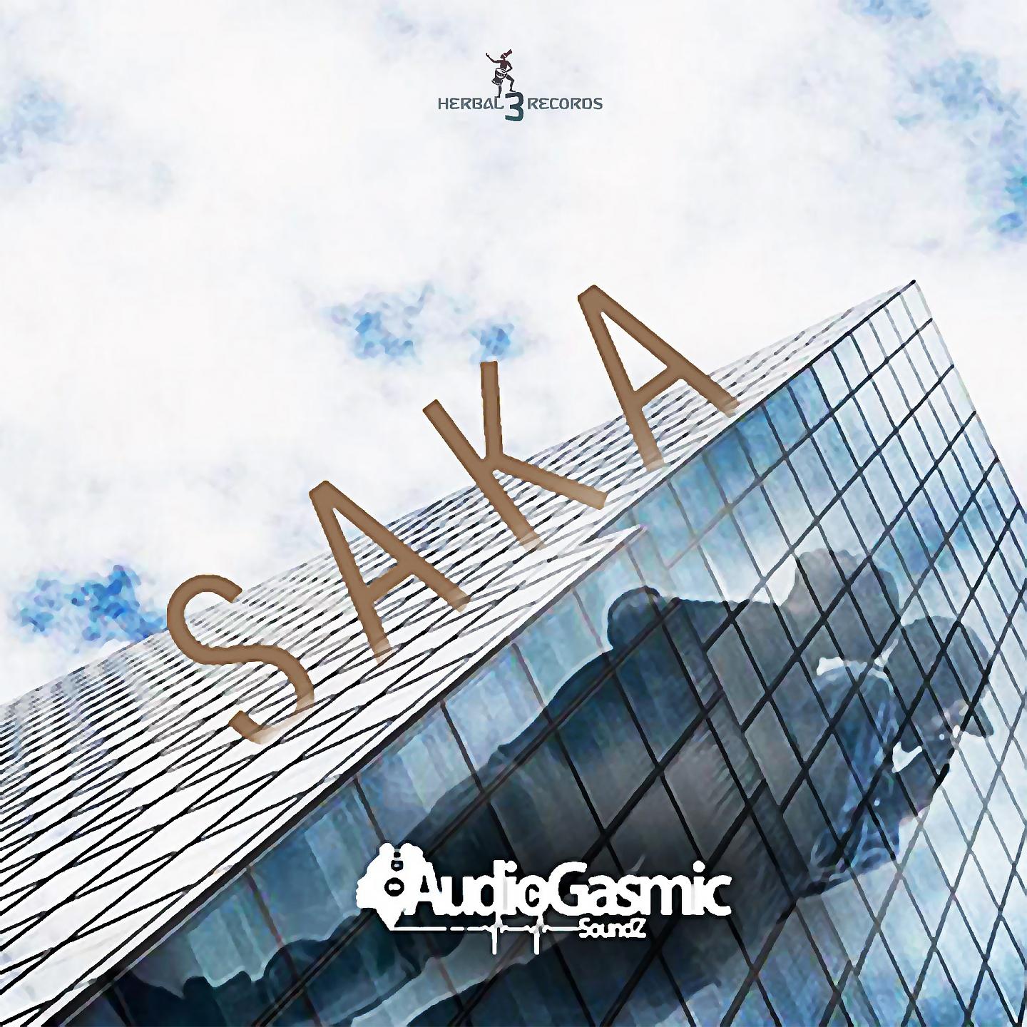Постер альбома Saka