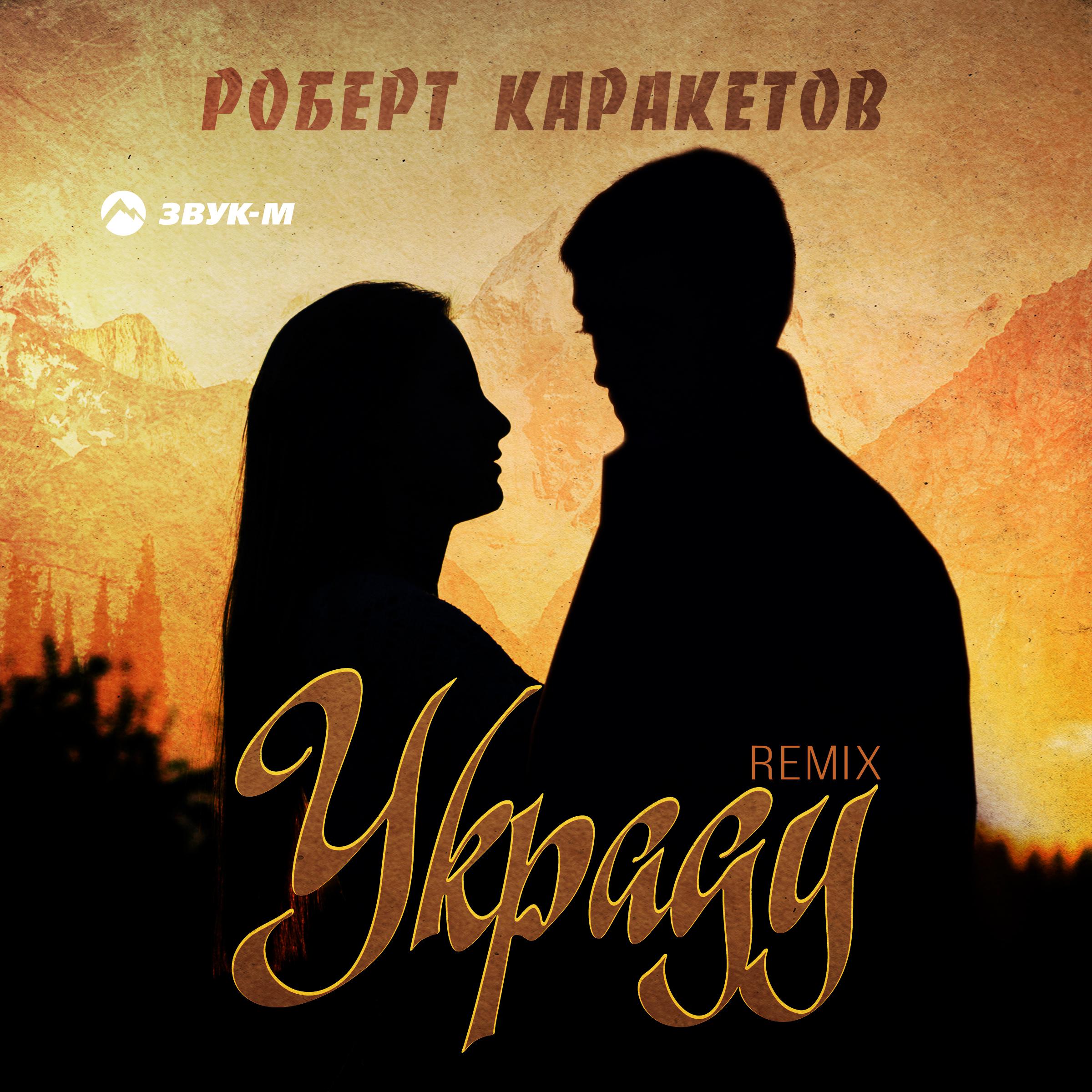 Постер альбома Украду (Remix)