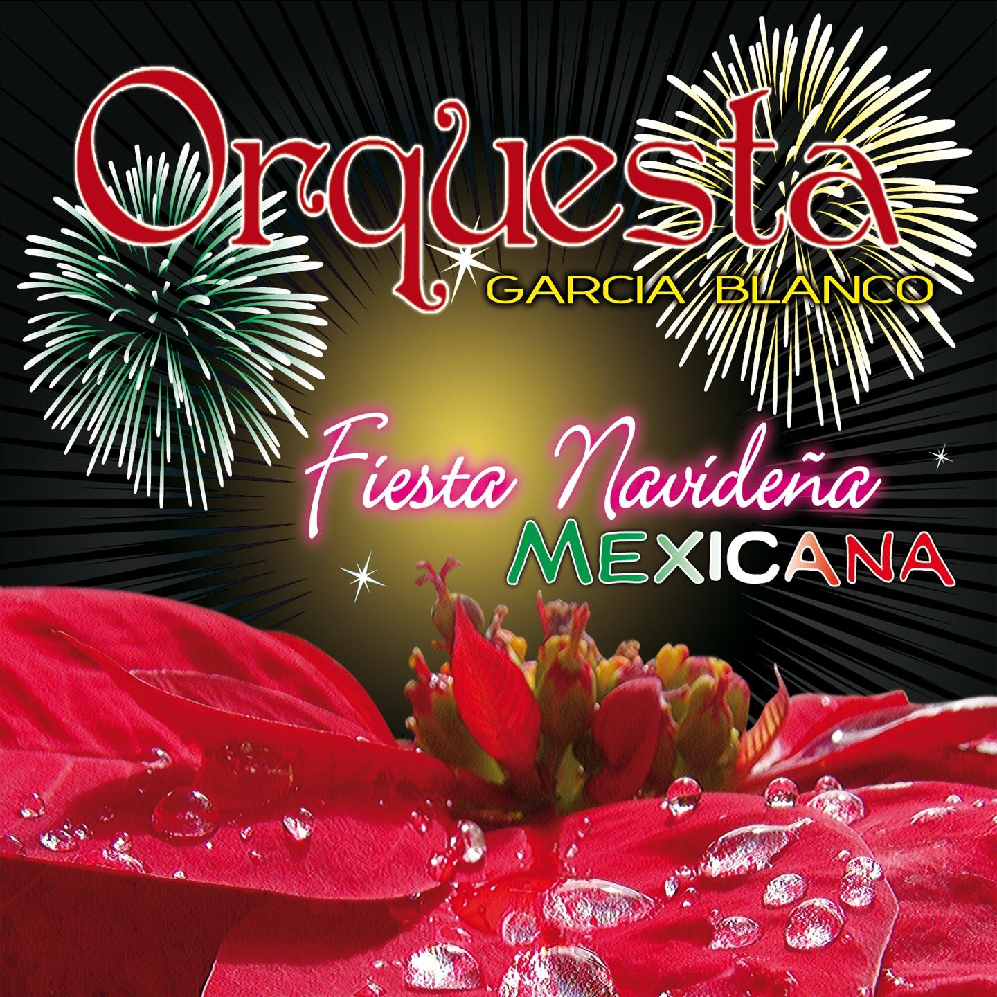 Постер альбома Fiesta Navideña Mexicana