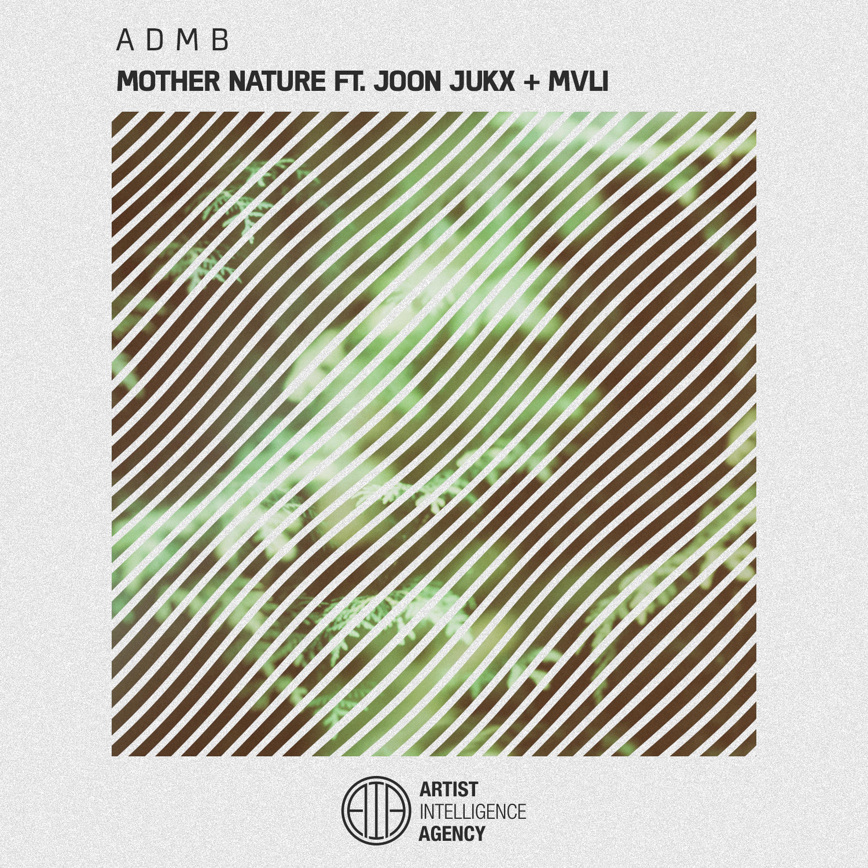 Постер альбома Mother Nature (feat. Joon Jukx & MVLI)