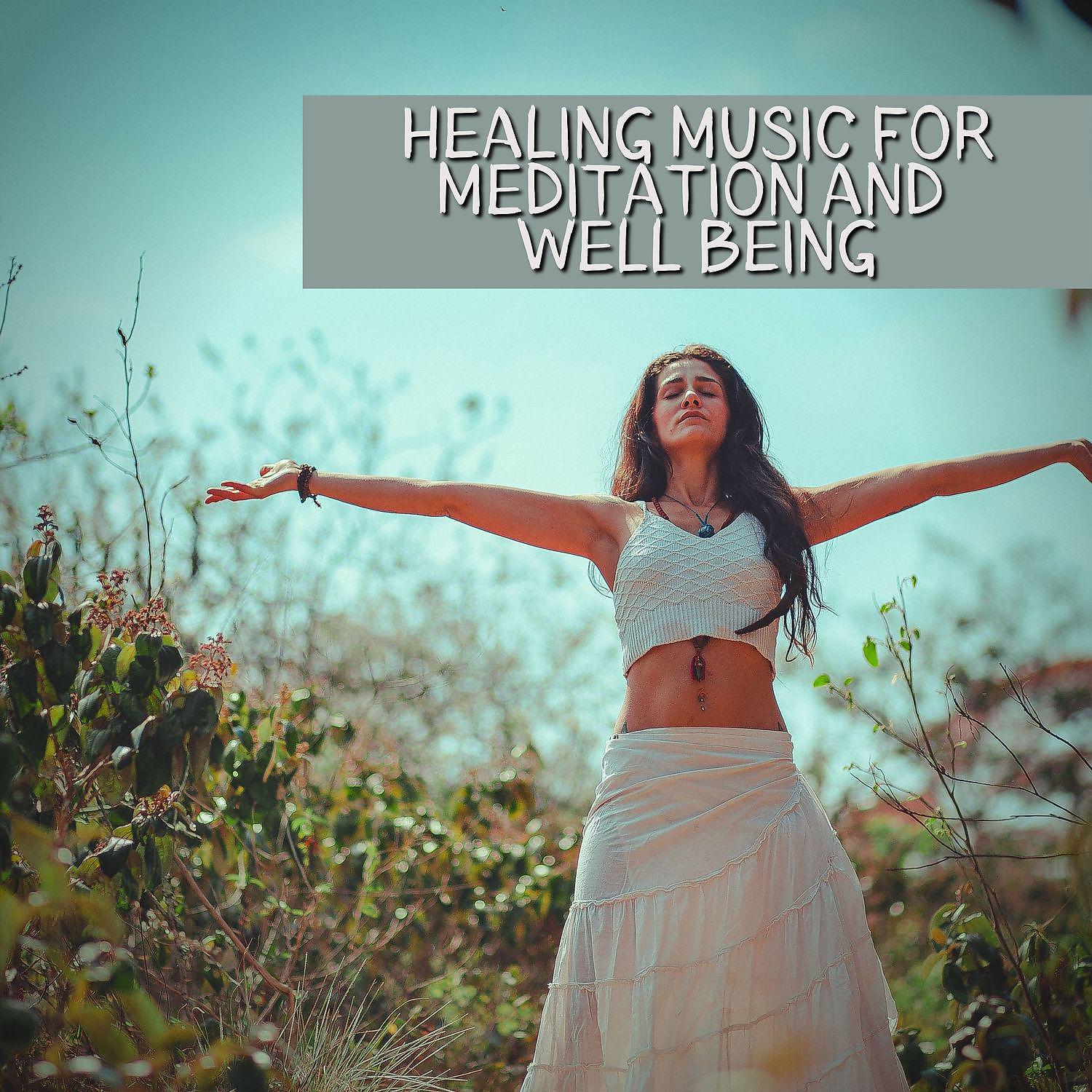 Постер альбома Healing Music for Meditation and Well Being