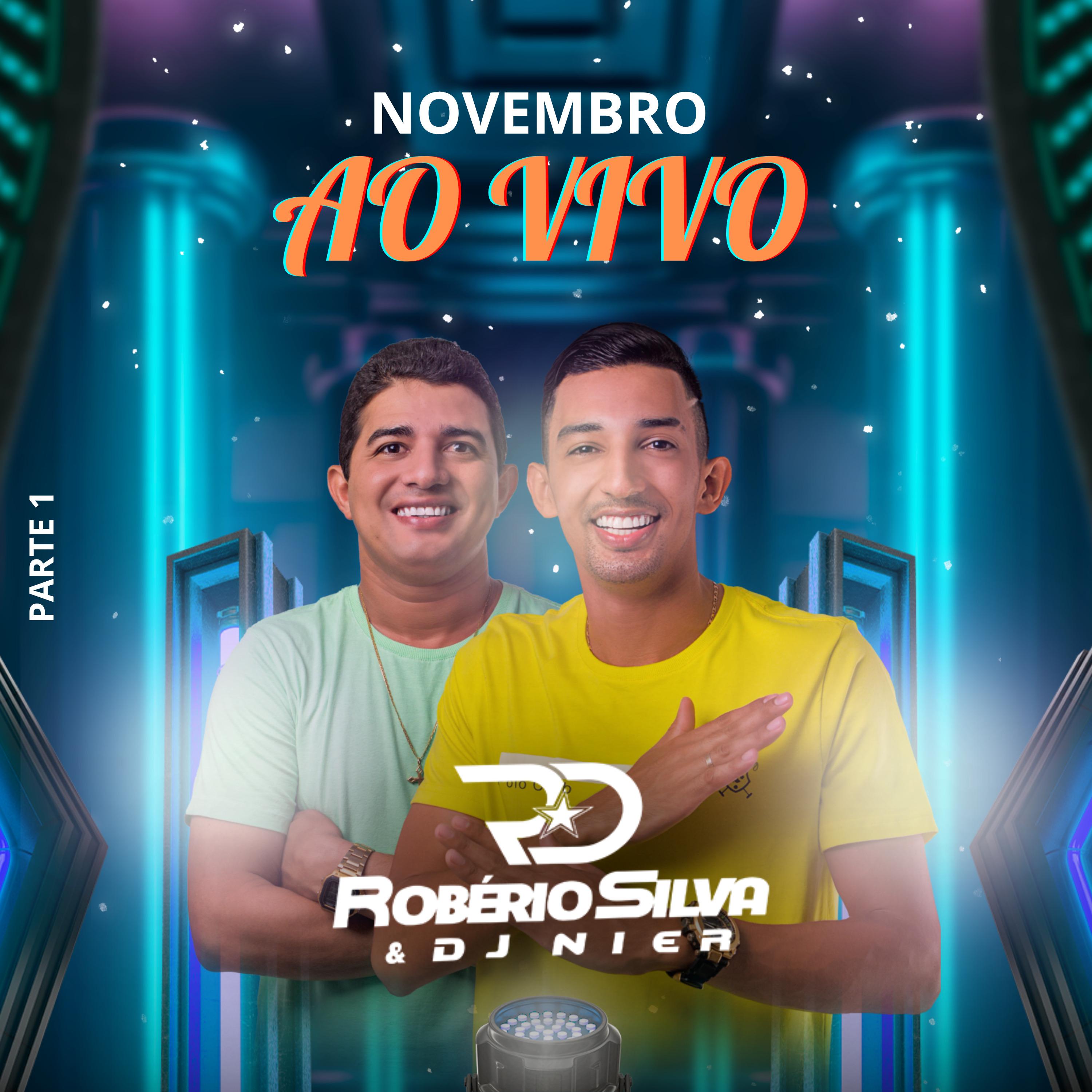 Постер альбома Novembro ao Vivo - Parte 1