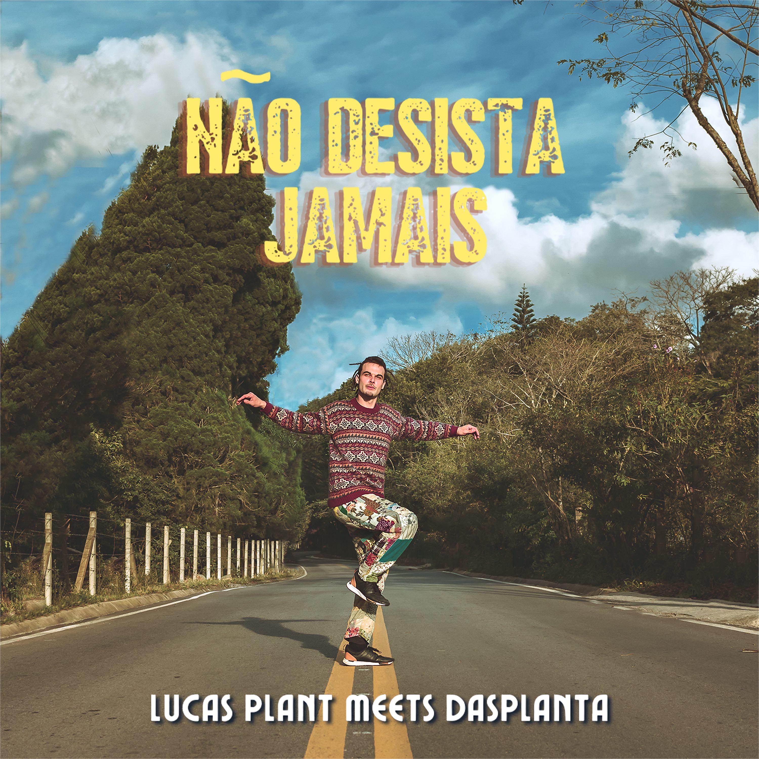 Постер альбома Não Desista Jamais