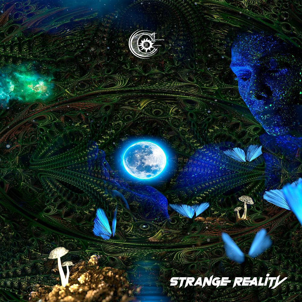 Постер альбома Strange Reality