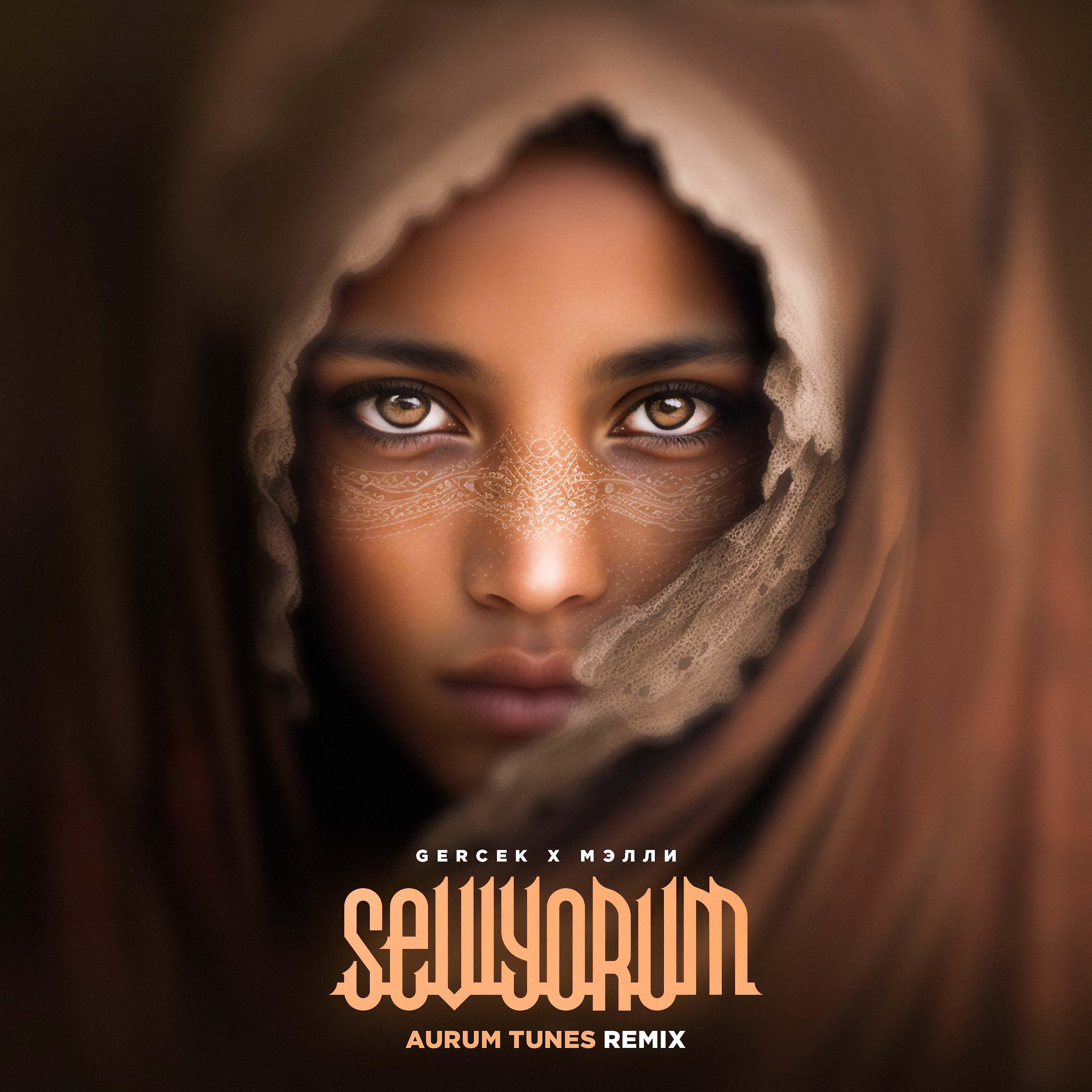 Постер альбома Seviyorum (AURUM TUNES Remix)