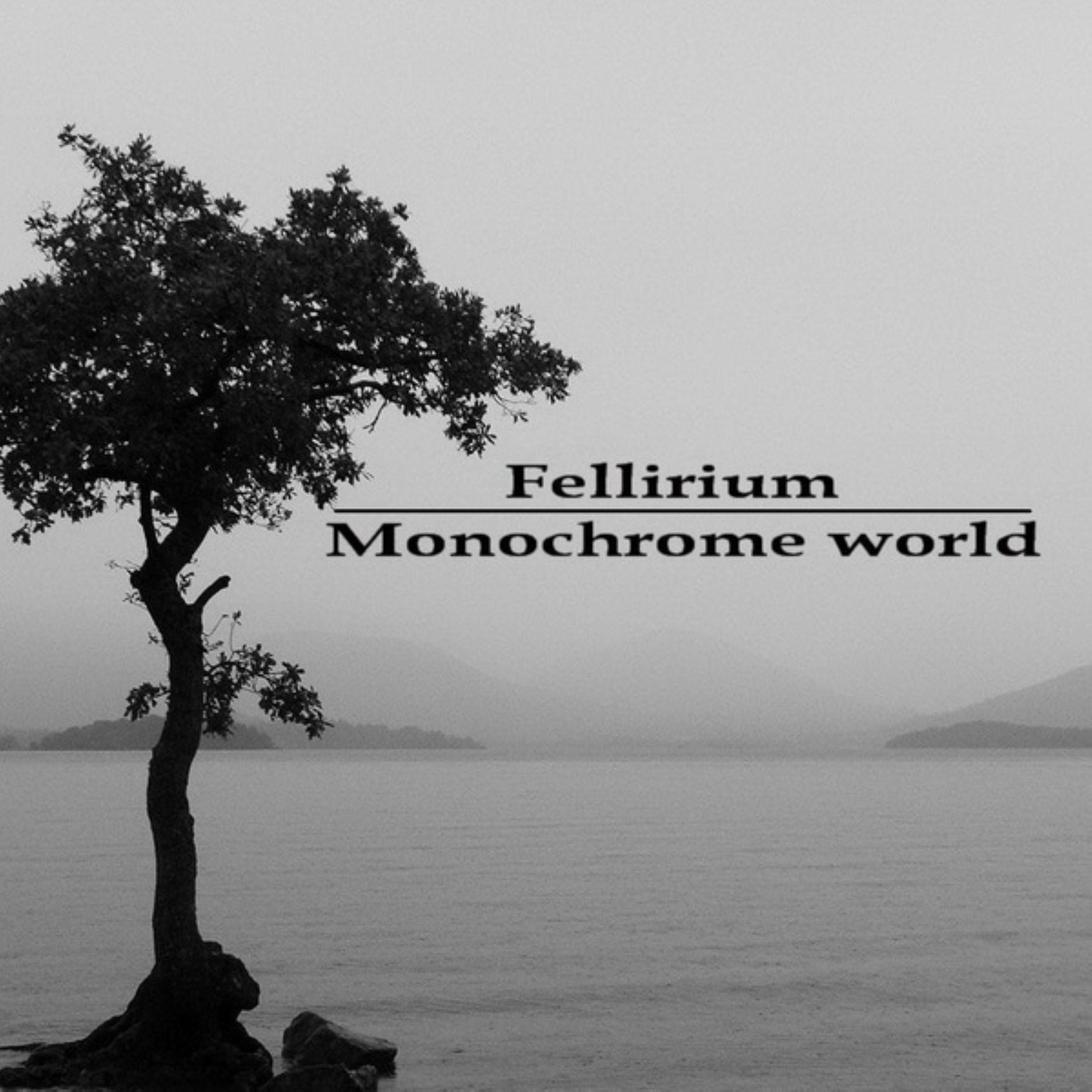 Постер альбома Monochrome World