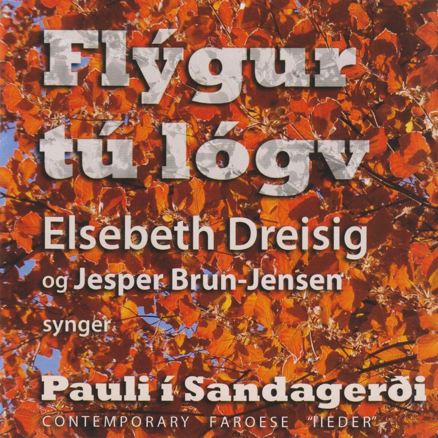 Постер альбома Flýgur Tú Lógv