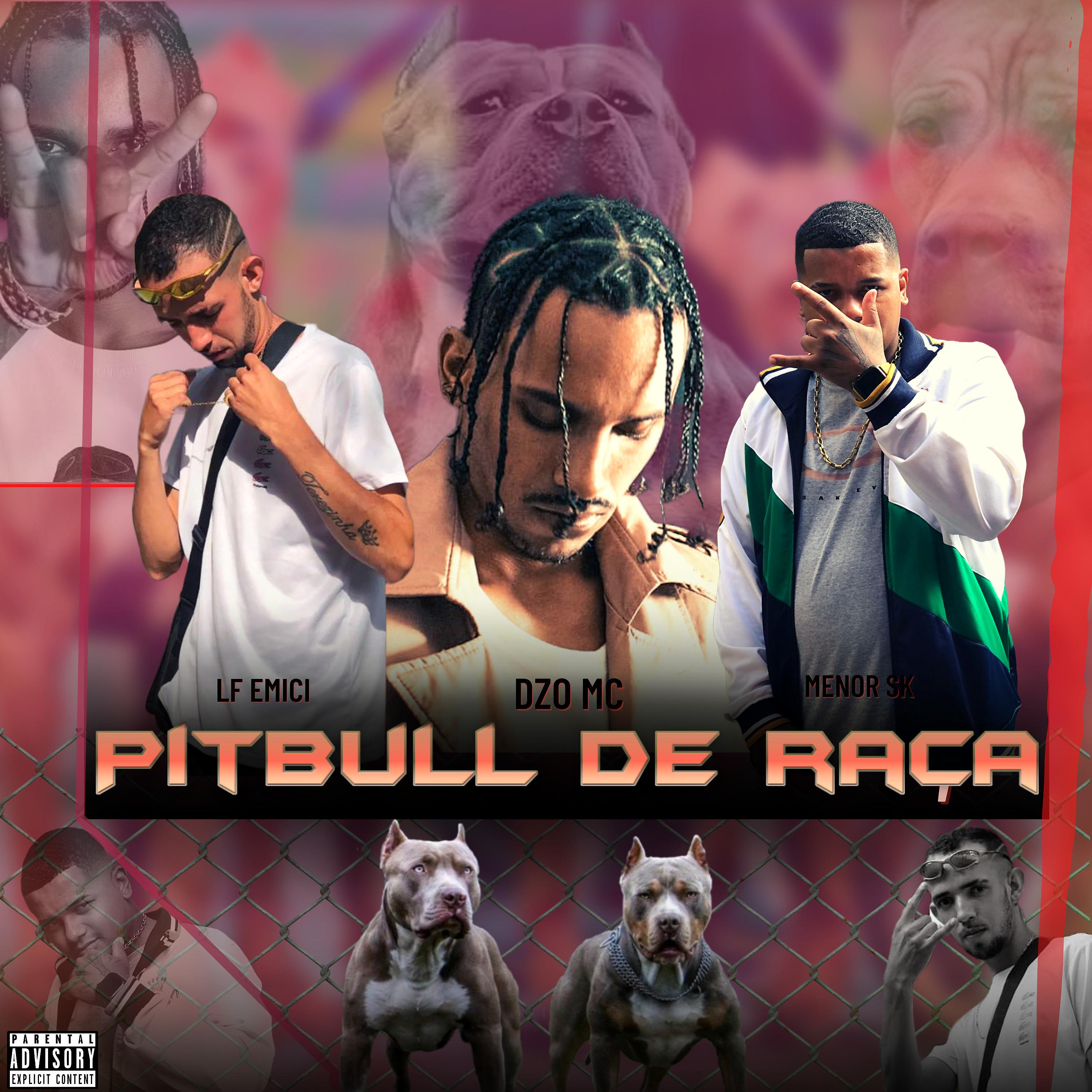 Постер альбома Pitbull de Raça