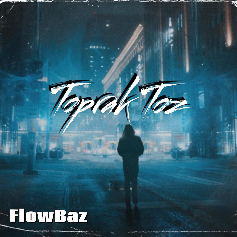 Постер альбома Toprak Toz
