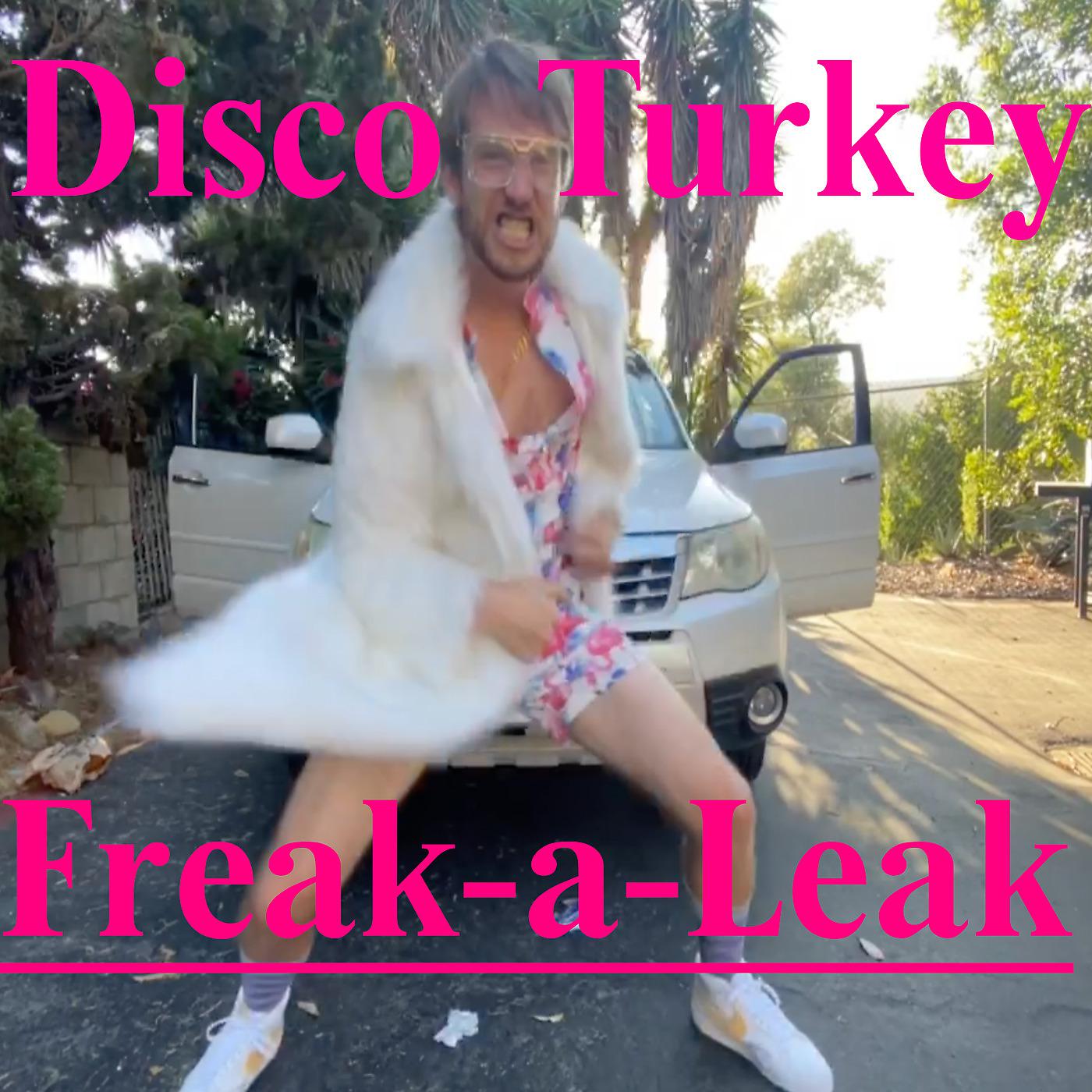 Постер альбома Freak-a-Leak