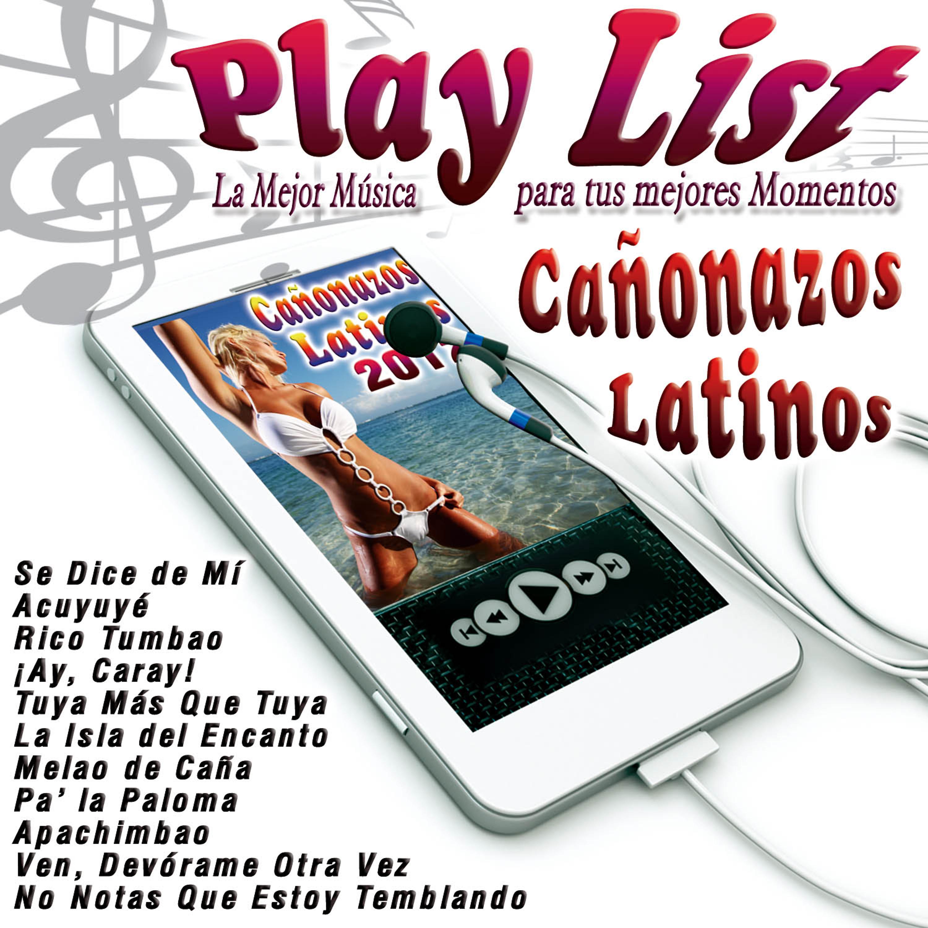 Постер альбома Play List Cañonazos Latinos