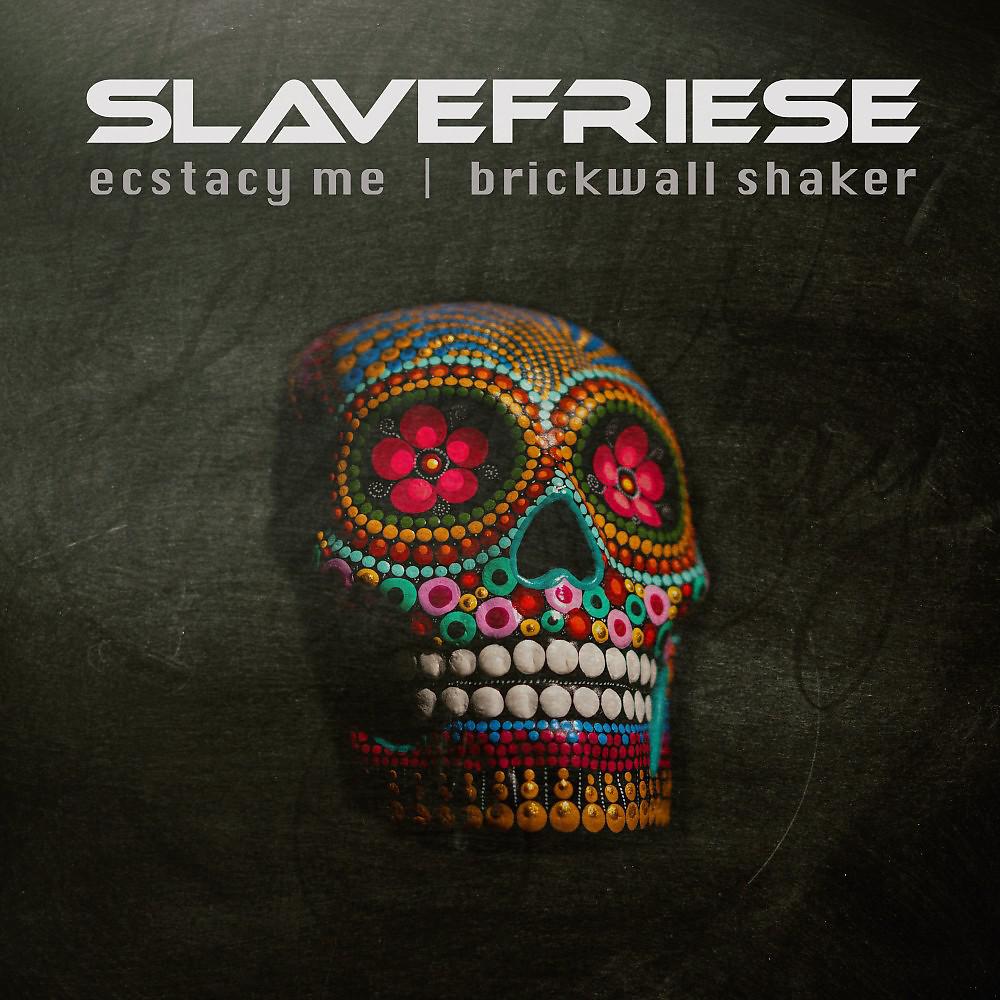 Постер альбома Ecstacy Me / Brickwall Shaker
