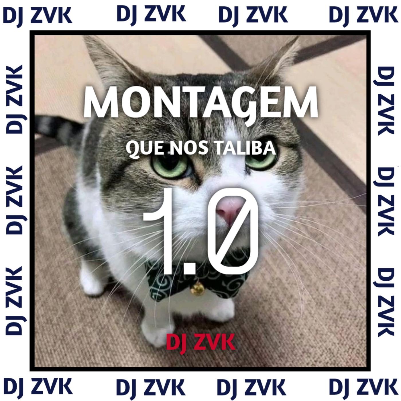 Постер альбома Montagem Que Nos Taliba 1.0