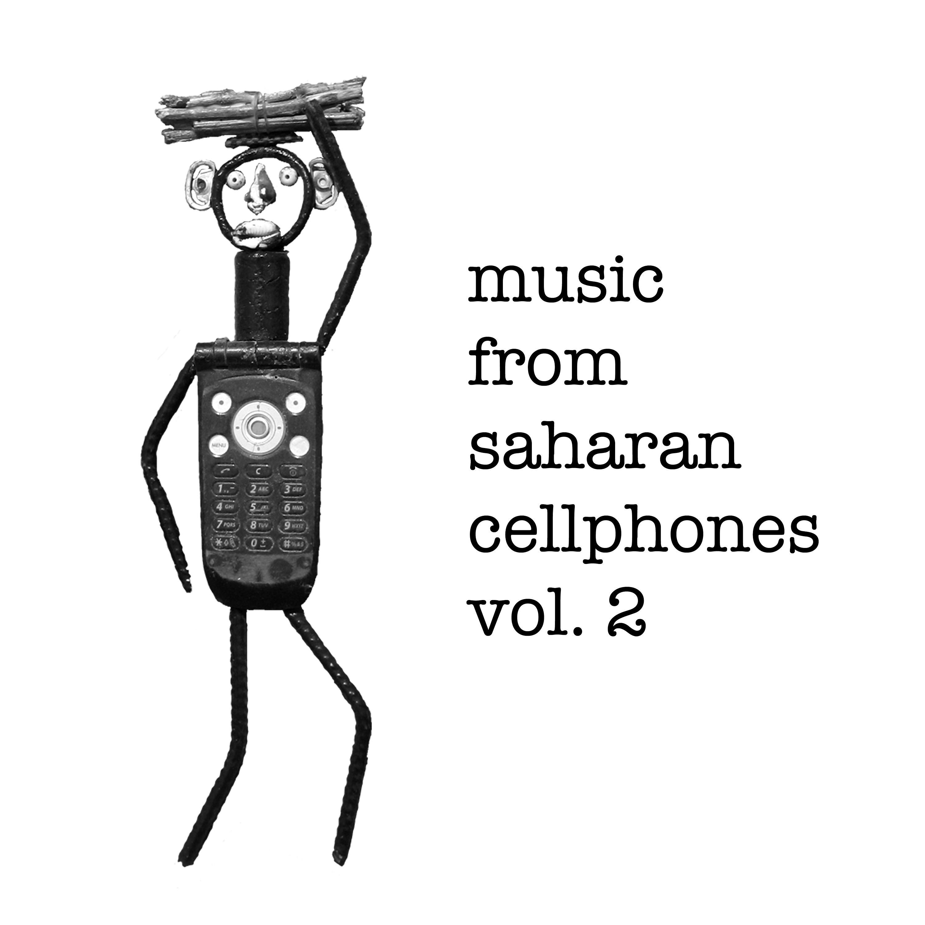 Постер альбома Music from Saharan Cellphones, Vol. 2