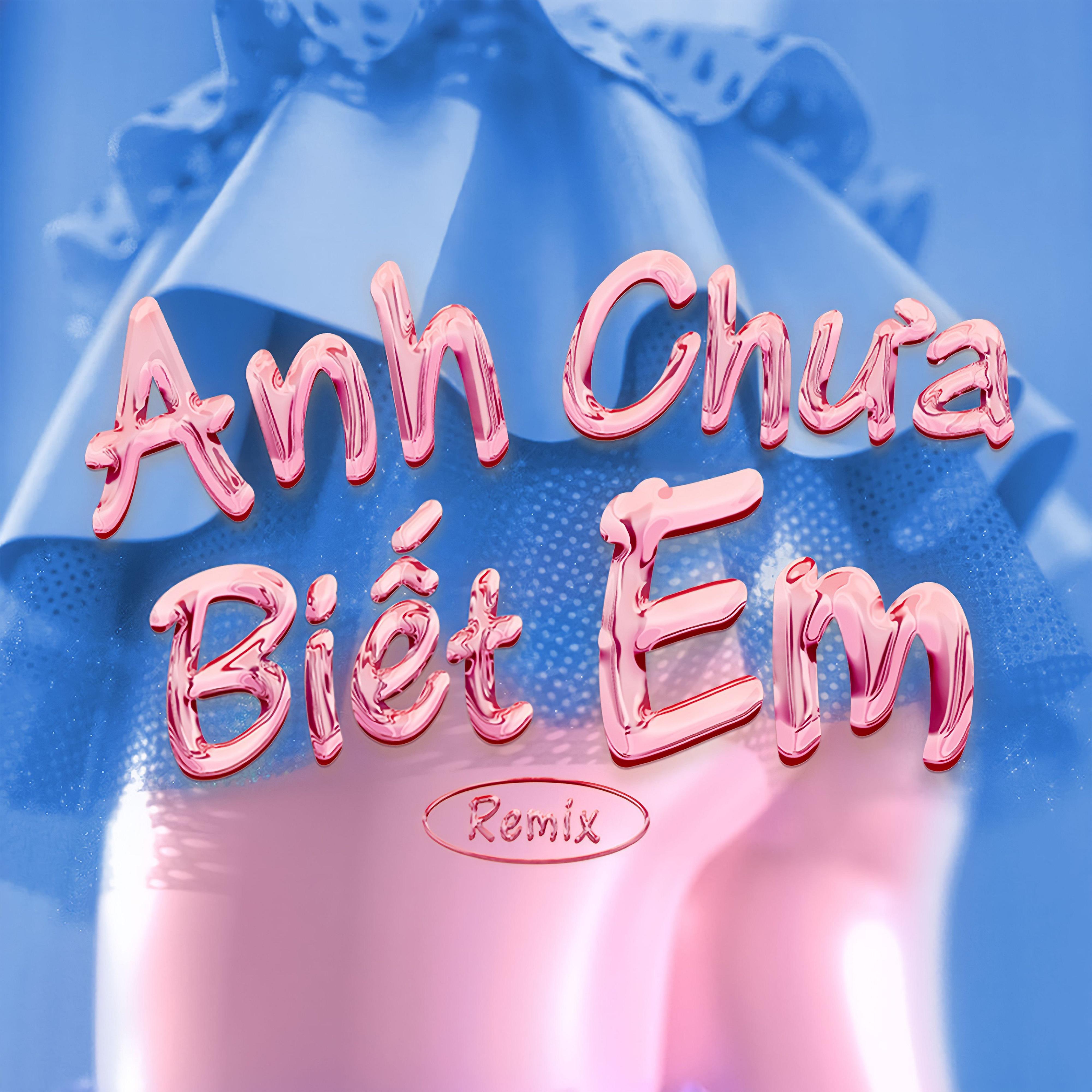 Постер альбома Anh Chưa Biết Em