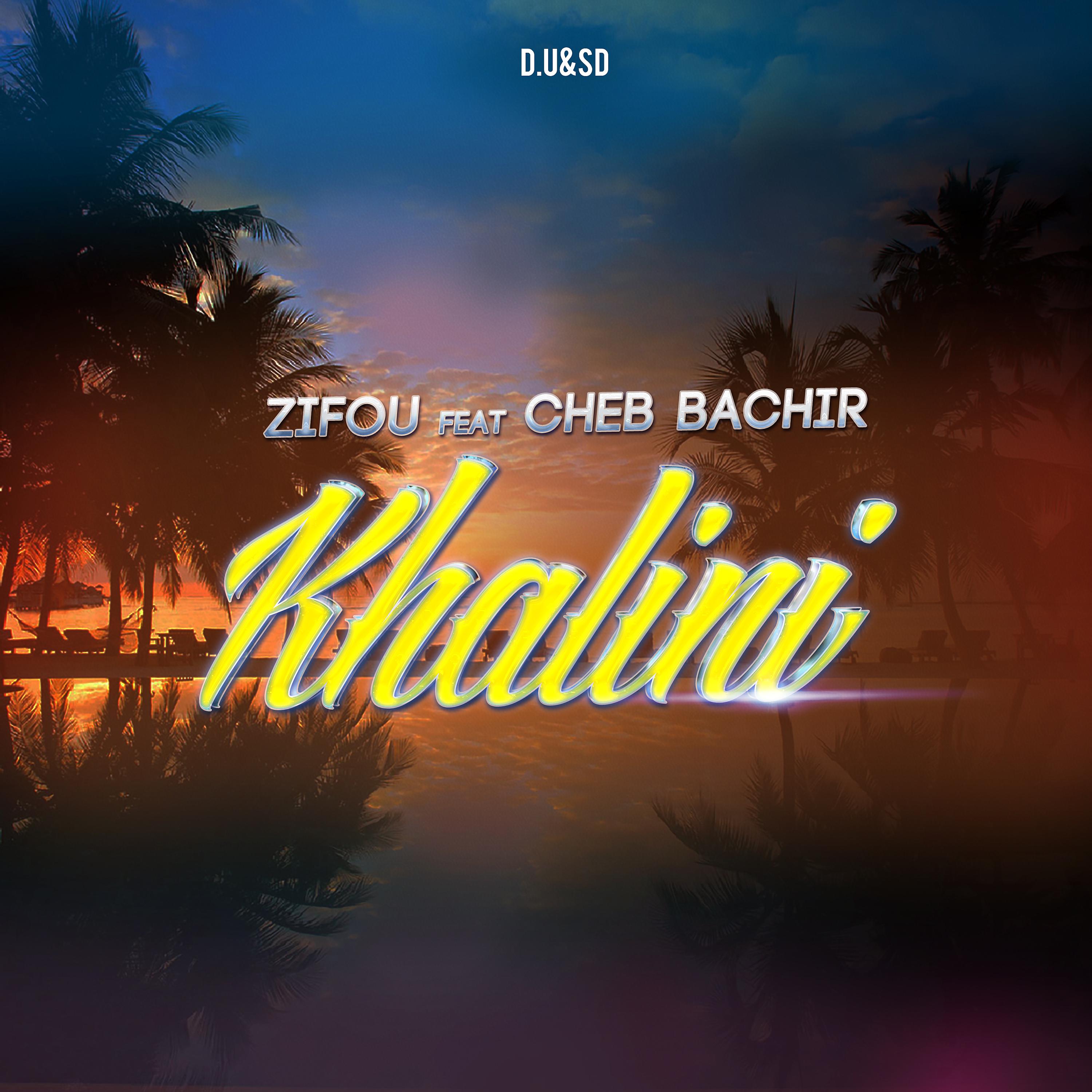 Постер альбома Khalini