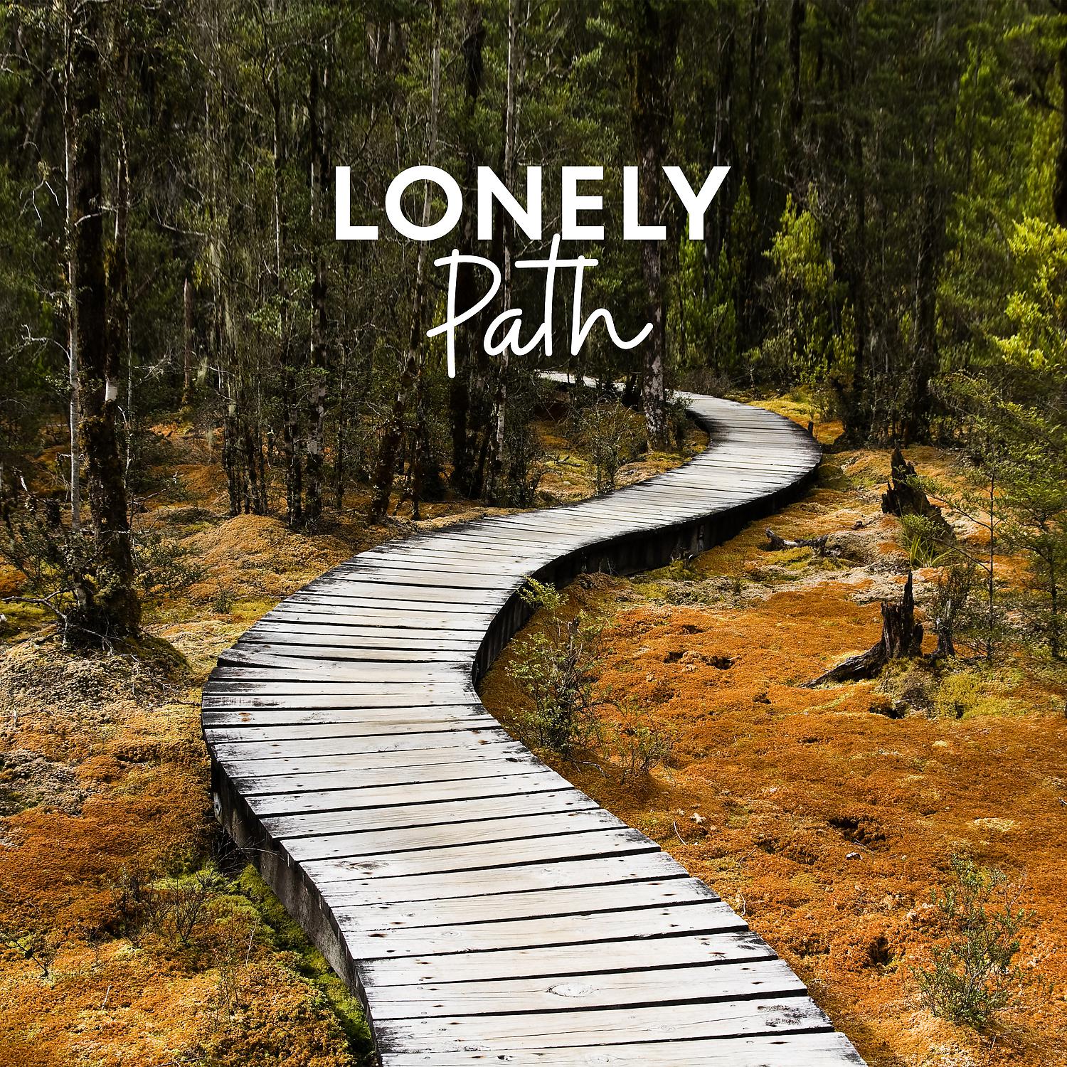 Постер альбома Lonely Path