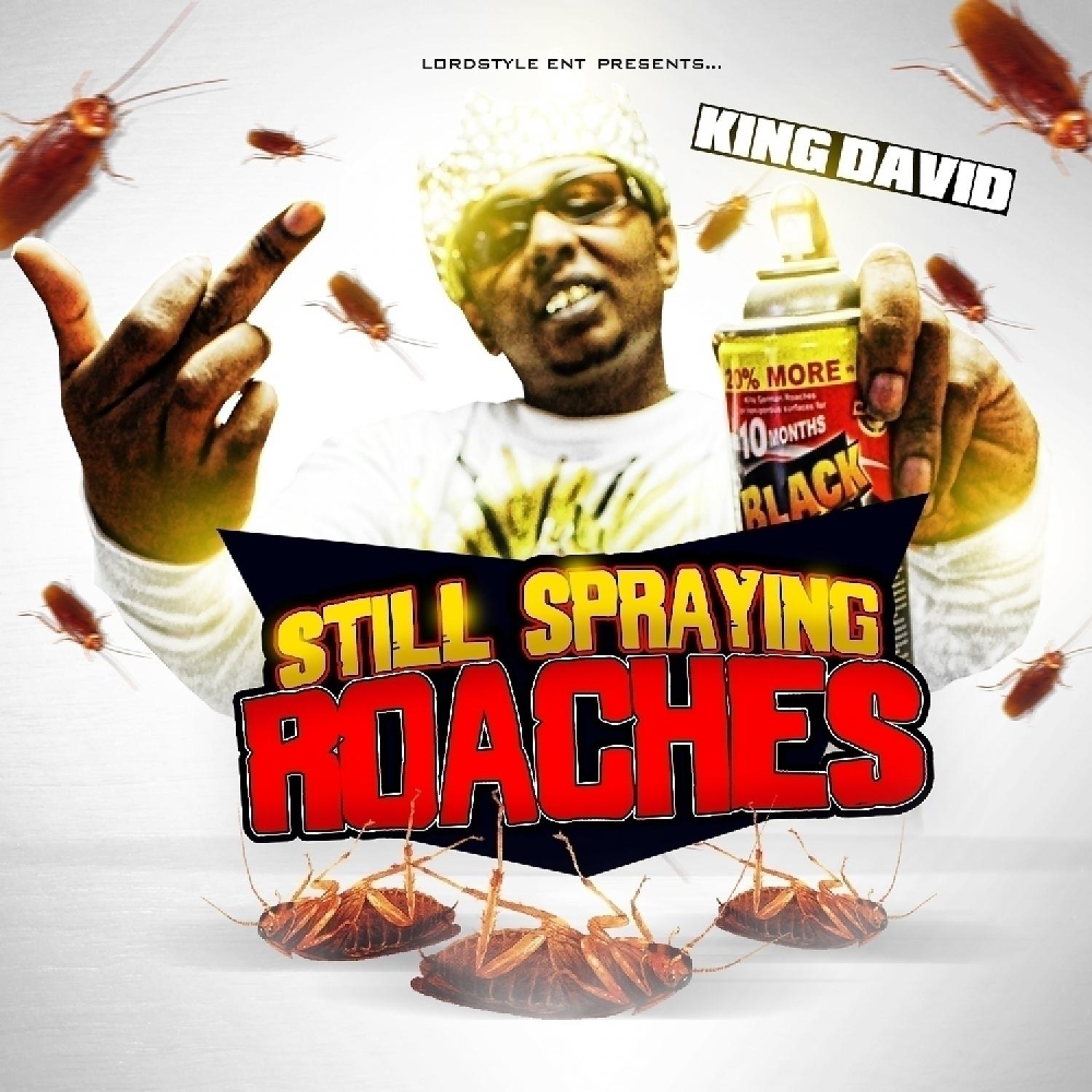 Постер альбома STILL Spraying Roaches