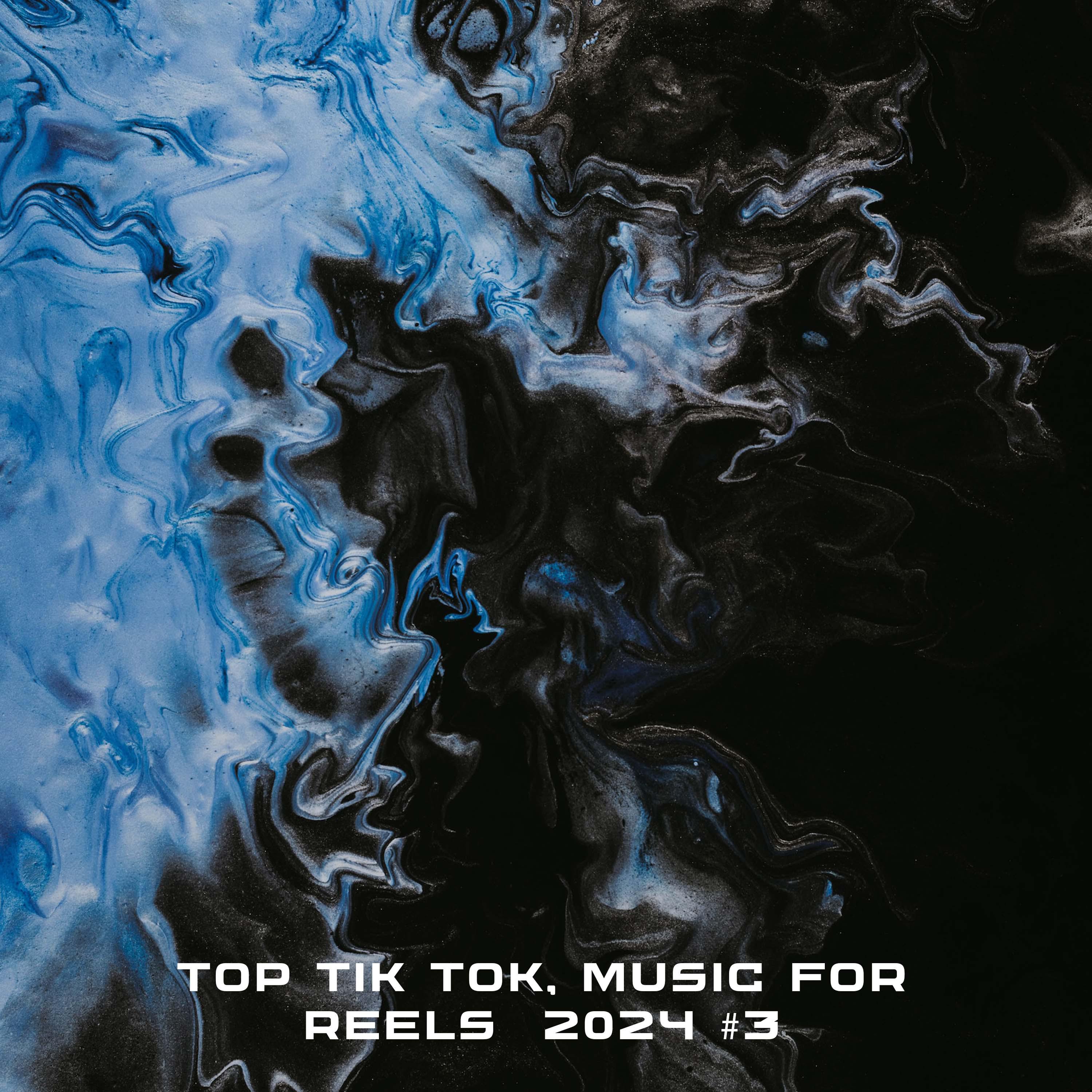 Постер альбома TOP TIK TOK, MUSIC FOR REELS 2024 #3