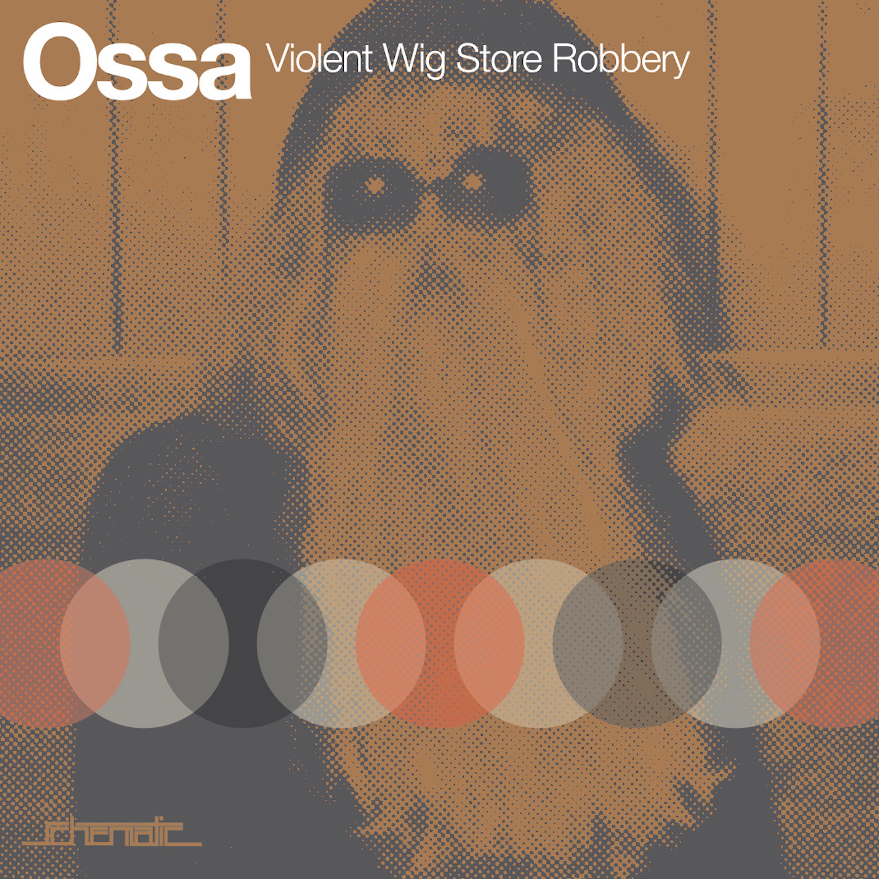 Постер альбома Violent Wig Store Robbery