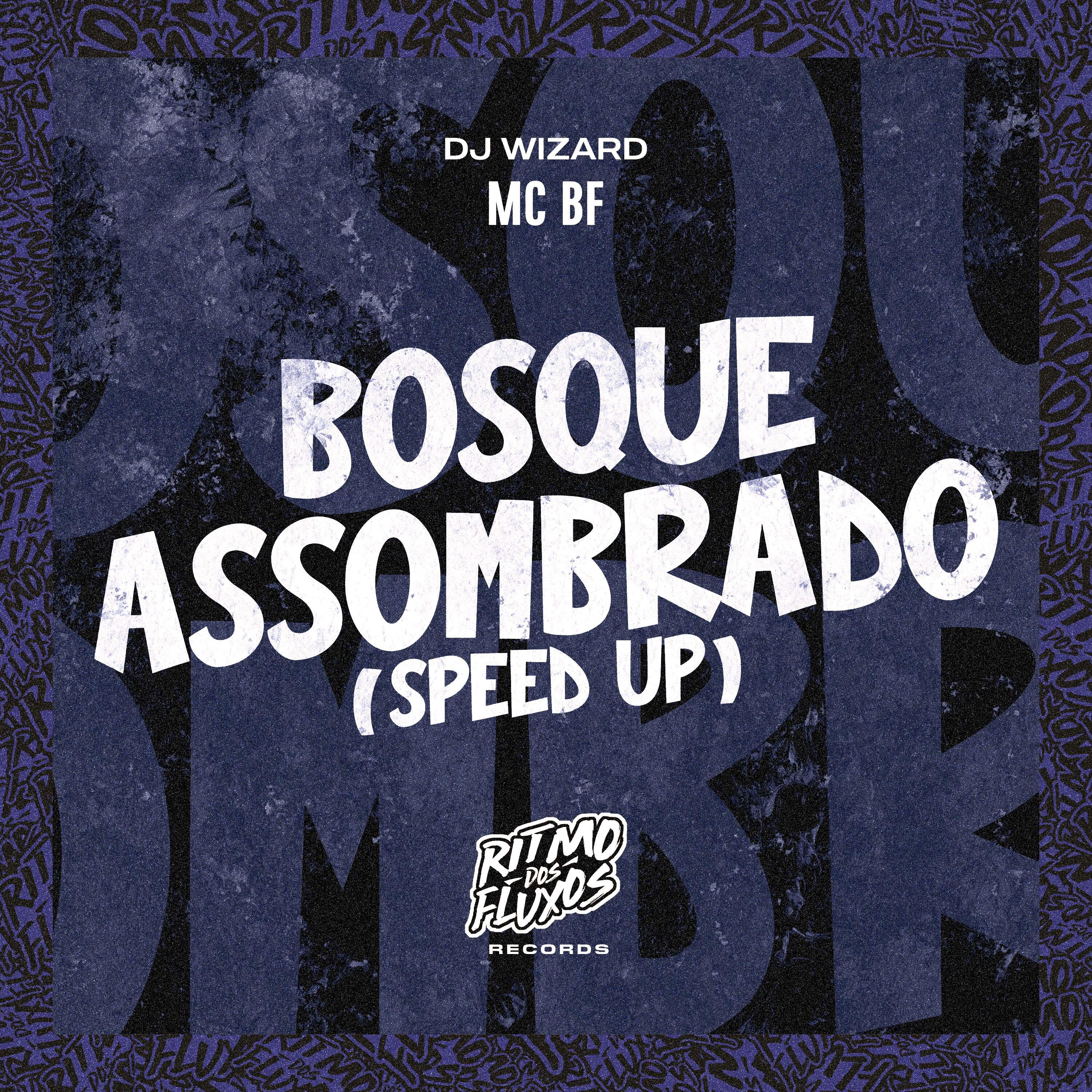 Постер альбома Bosque Assombrado (Speed Up)