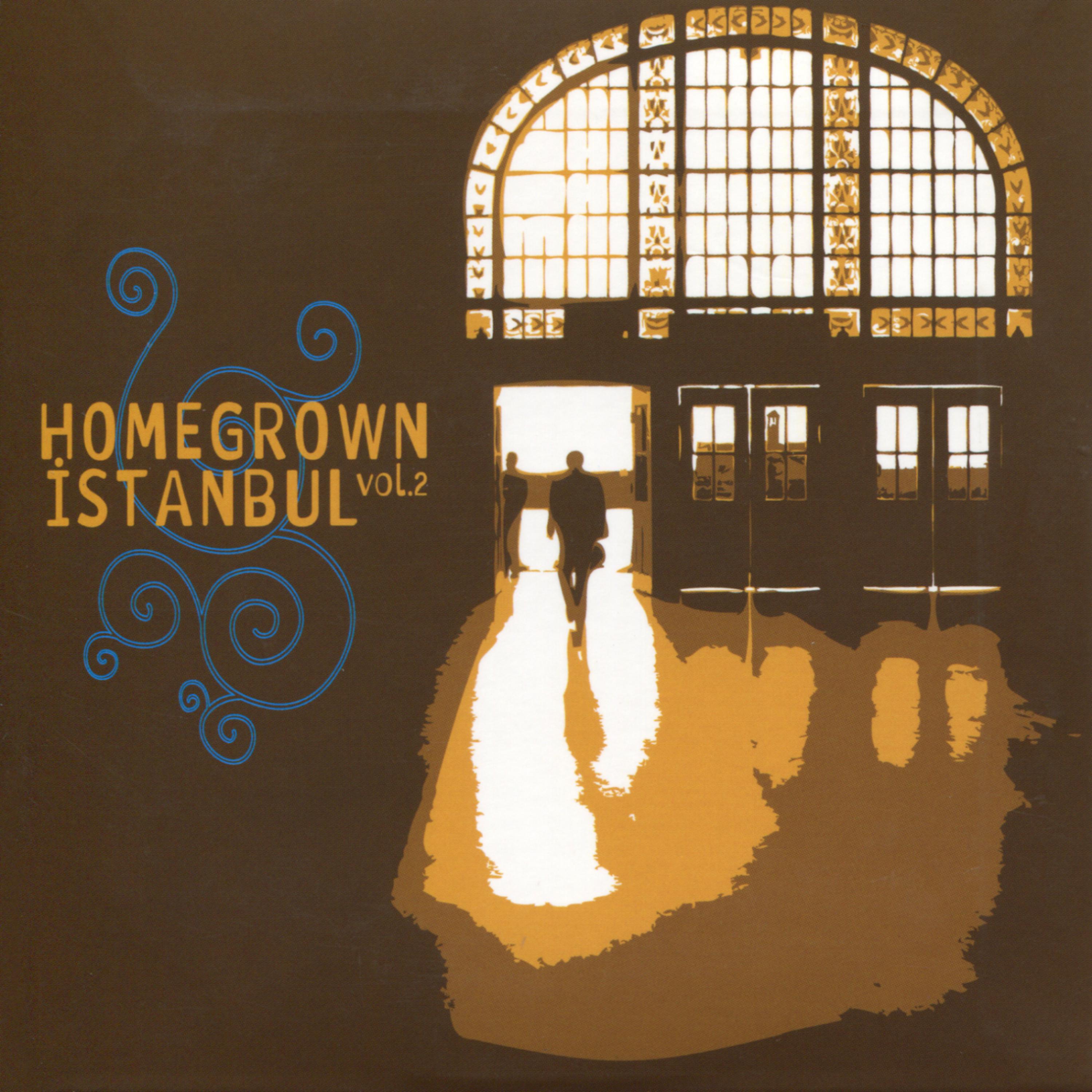 Постер альбома Homegrown Istanbul, Vol. 2