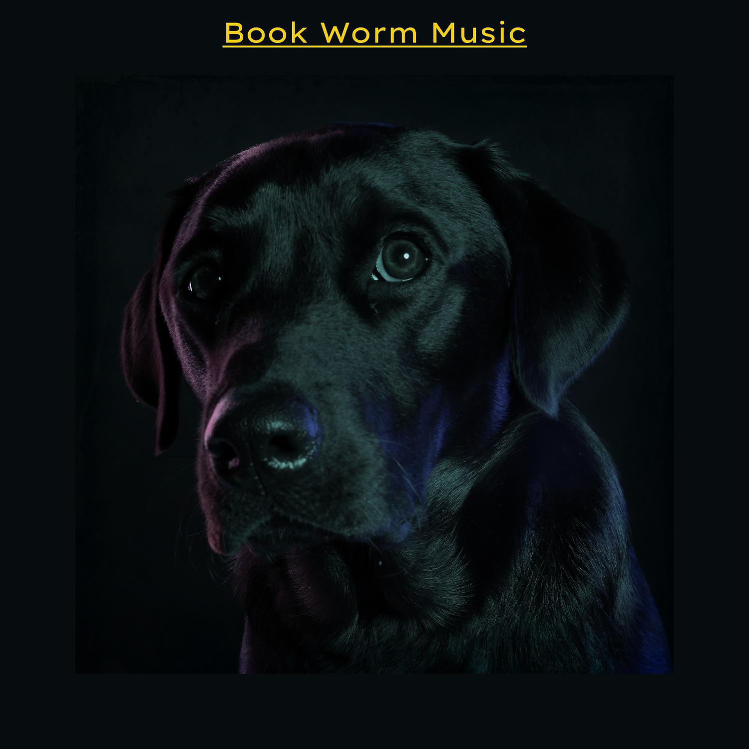 Постер альбома Book Worm Music