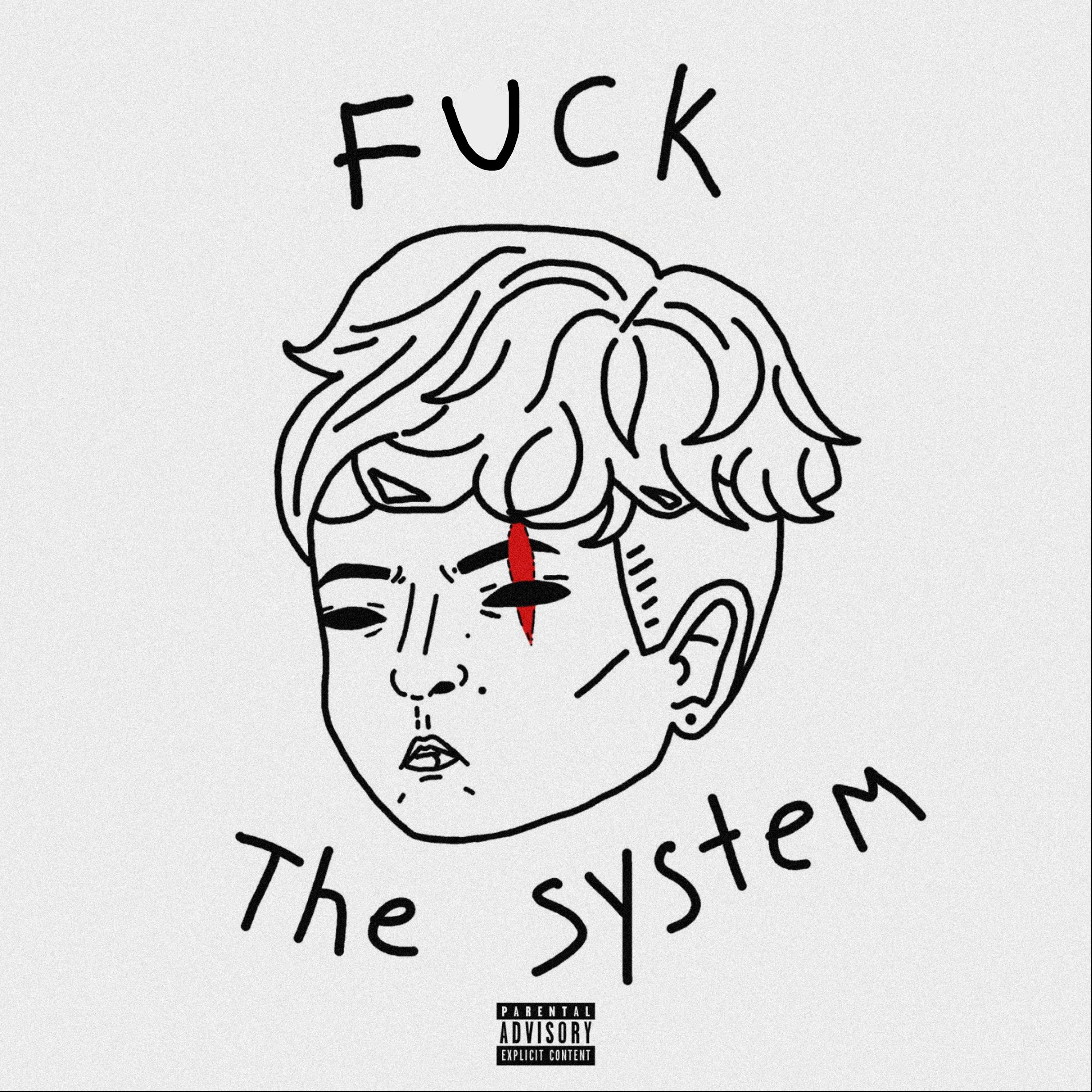 Постер альбома Fuck The System