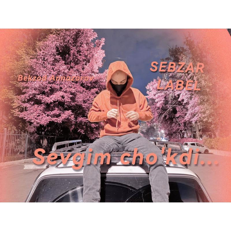 Постер альбома Sevgim cho'kdi (ЛЯЛЯ)