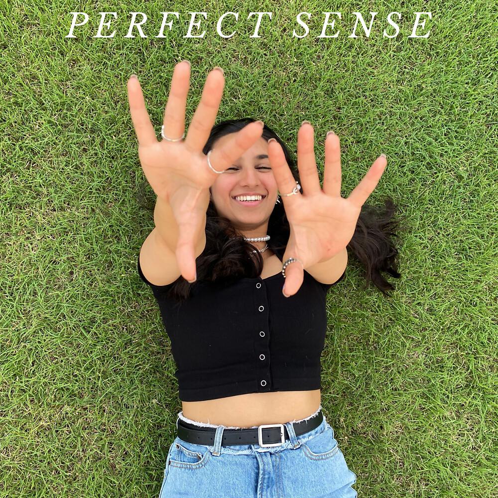 Постер альбома Perfect Sense
