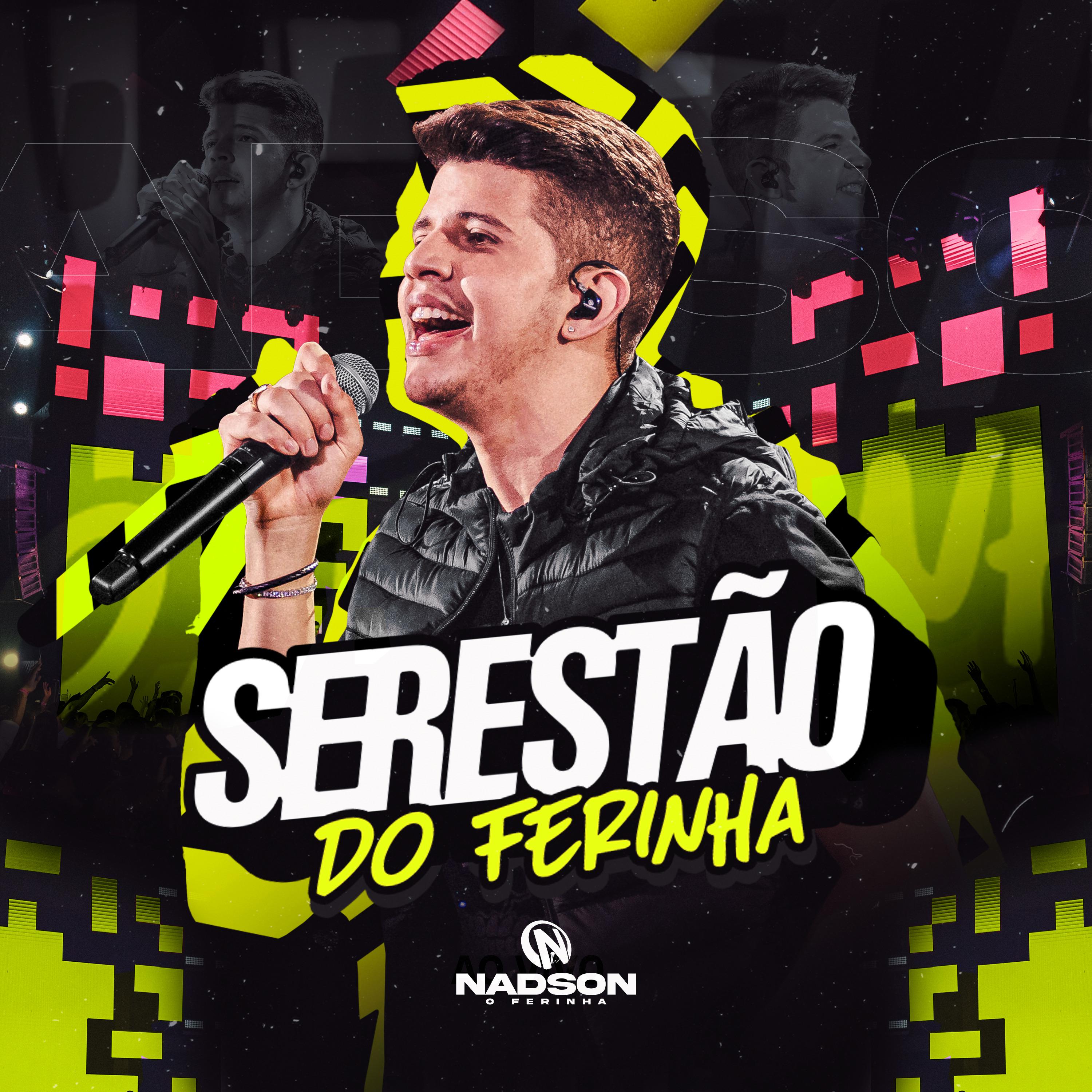 Постер альбома Serestão do Ferinha