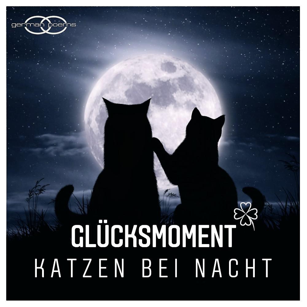 Постер альбома Katzen bei Nacht